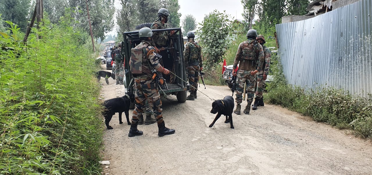 Security forces bust militant hideout in J-K's Shopian district