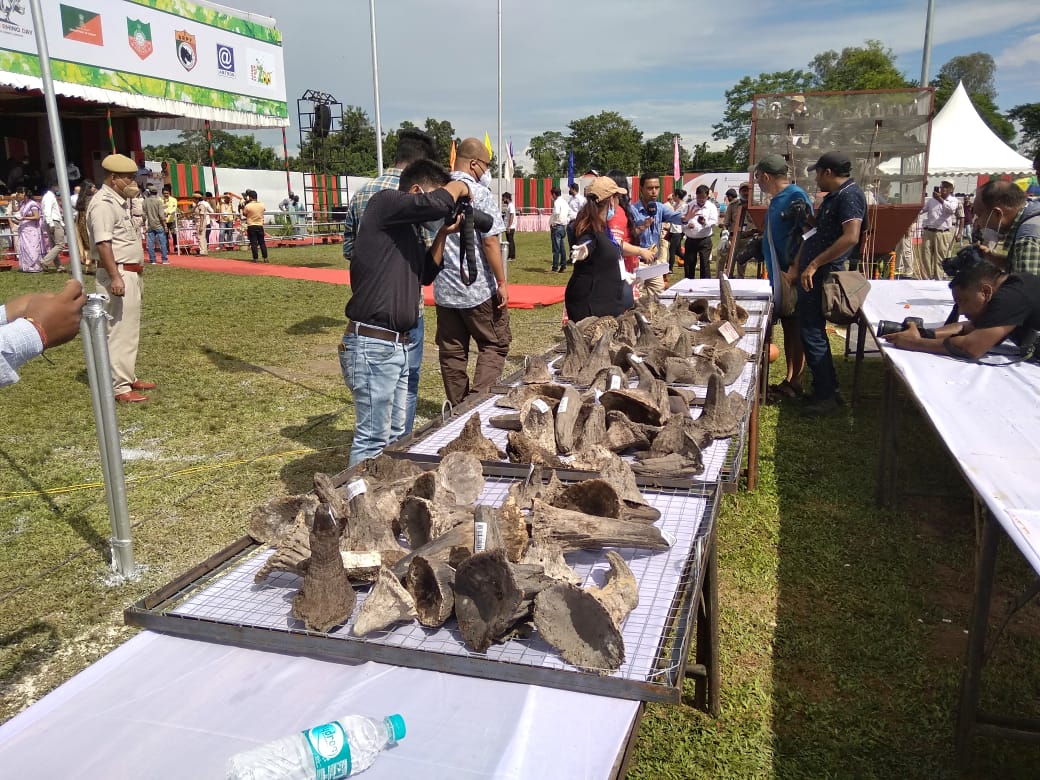 assam burns 2479 rhino horns stockpiled since 1970s in presence of cm himanta biswa sarma