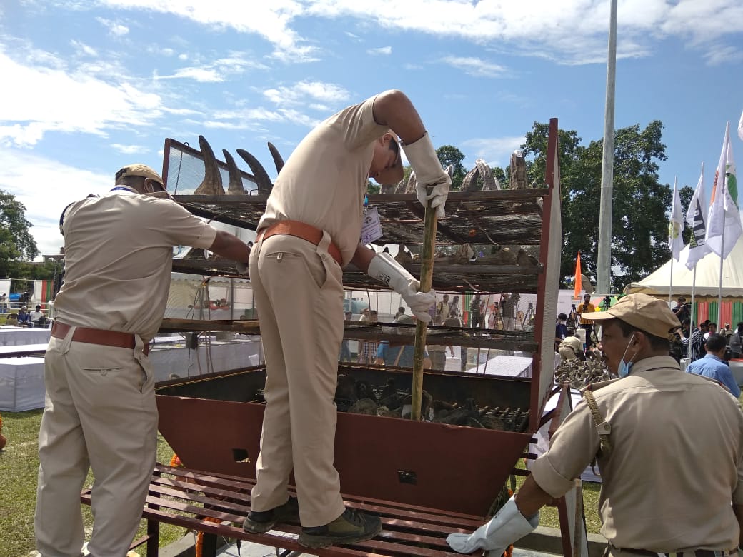 Assam burns 2479 rhino horns