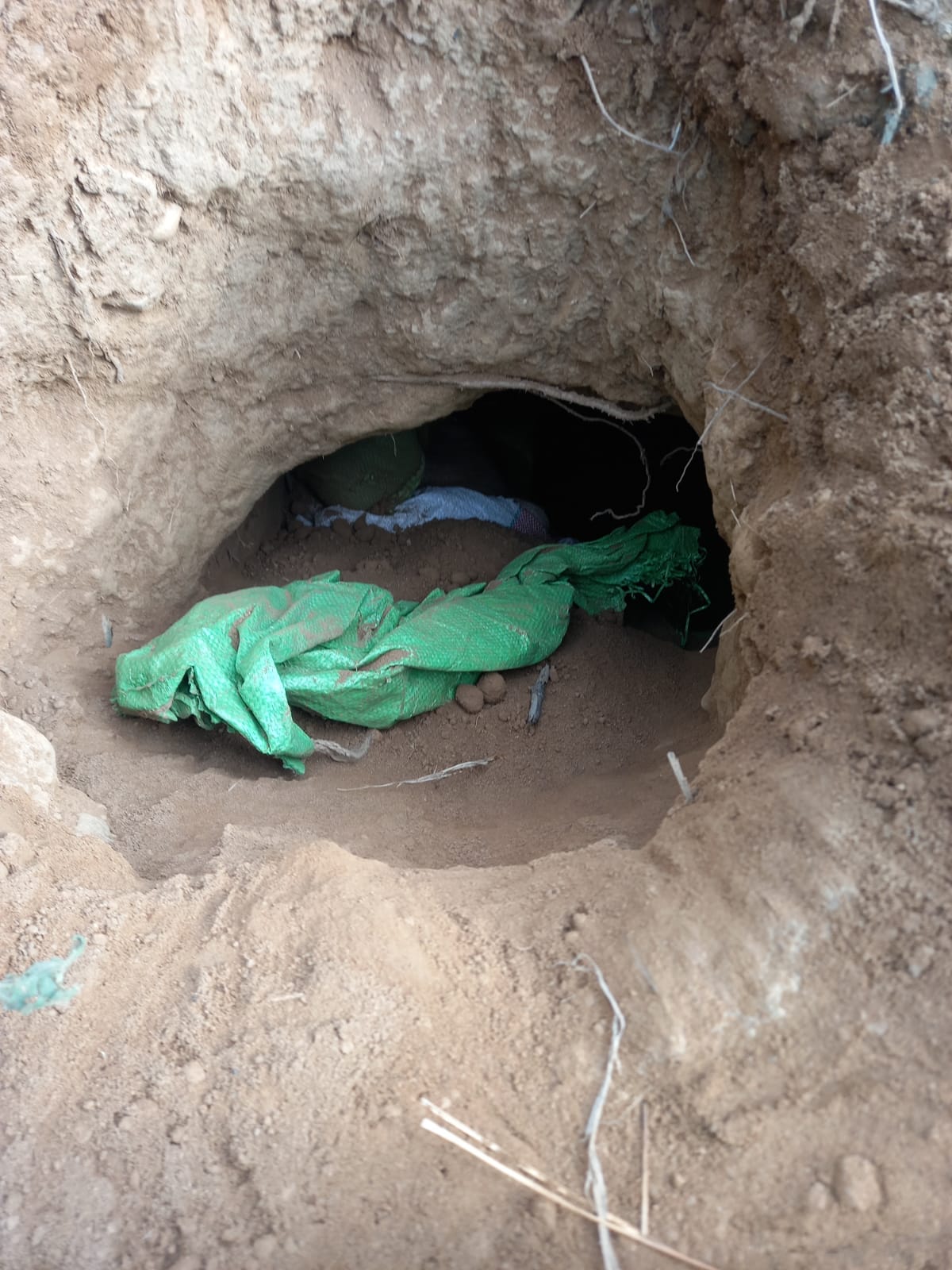 Cross-border tunnel used by JeM suicide bombers detected in J-K's Samba