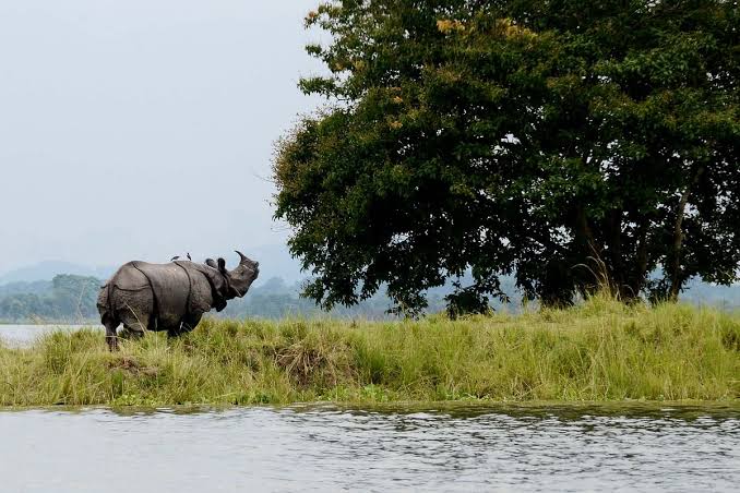 ইণ্ডিয়া টুডে’ৰ সমীক্ষাত বিকাশৰ ক্ষেত্ৰত অসমৰ শীর্ষস্থান লাভ