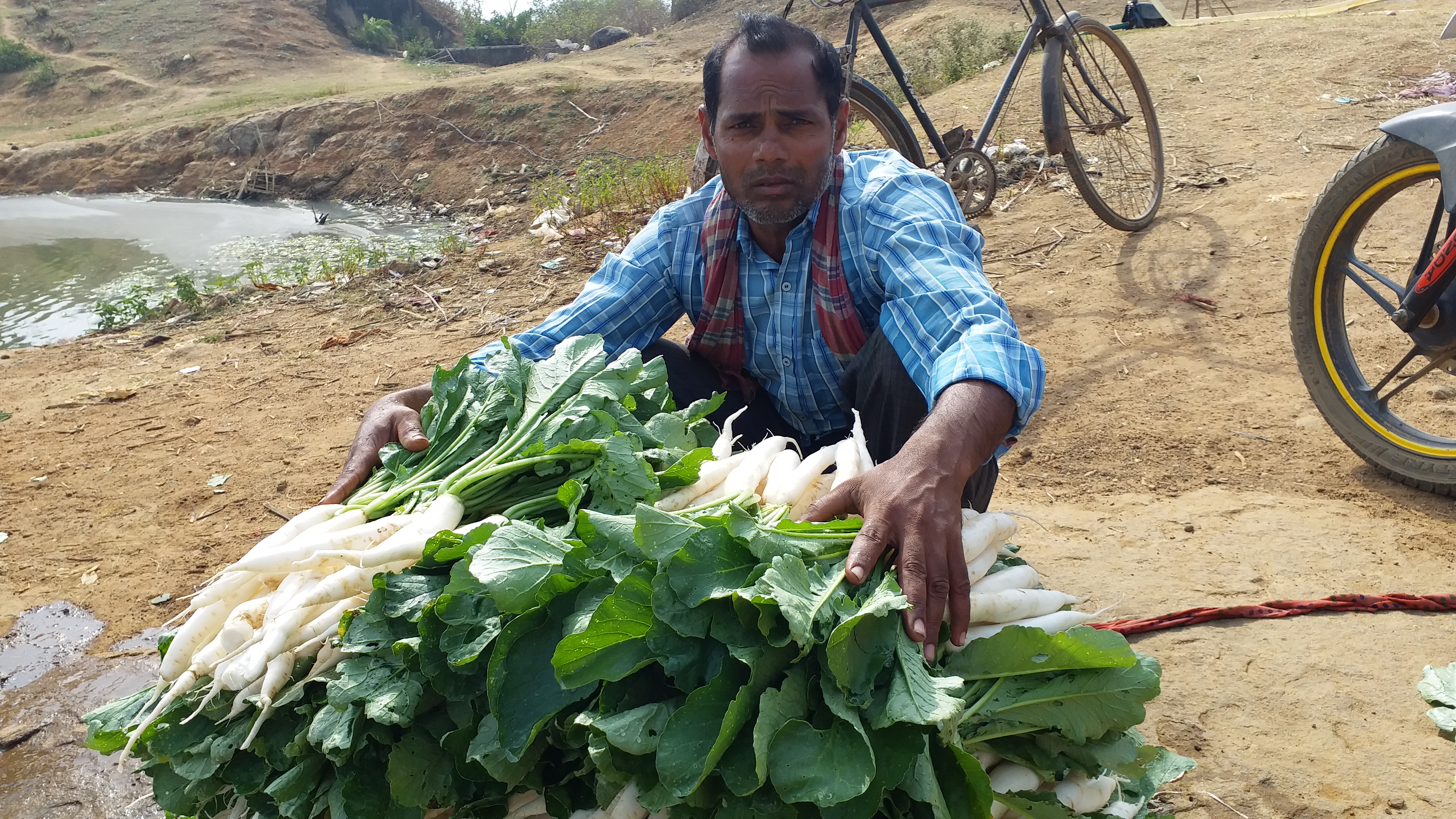 Government pond is proving to be boon for people in Dumka