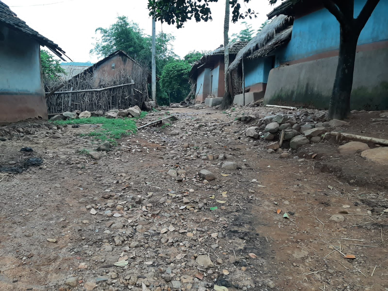 road and drinking water problems in Reshma Village of Dumka