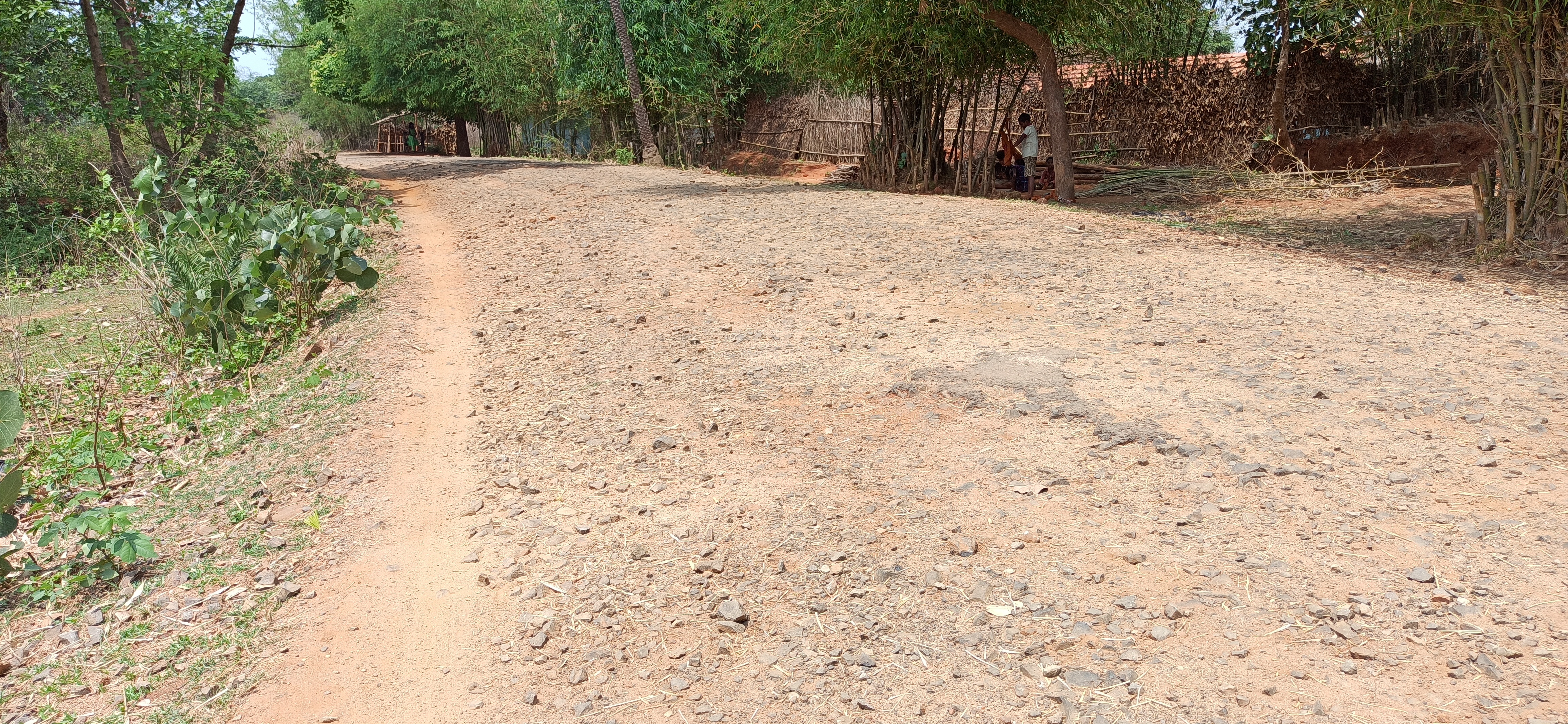 bad condition of rural roads in Jama assembly constituency of MLA Sita Soren