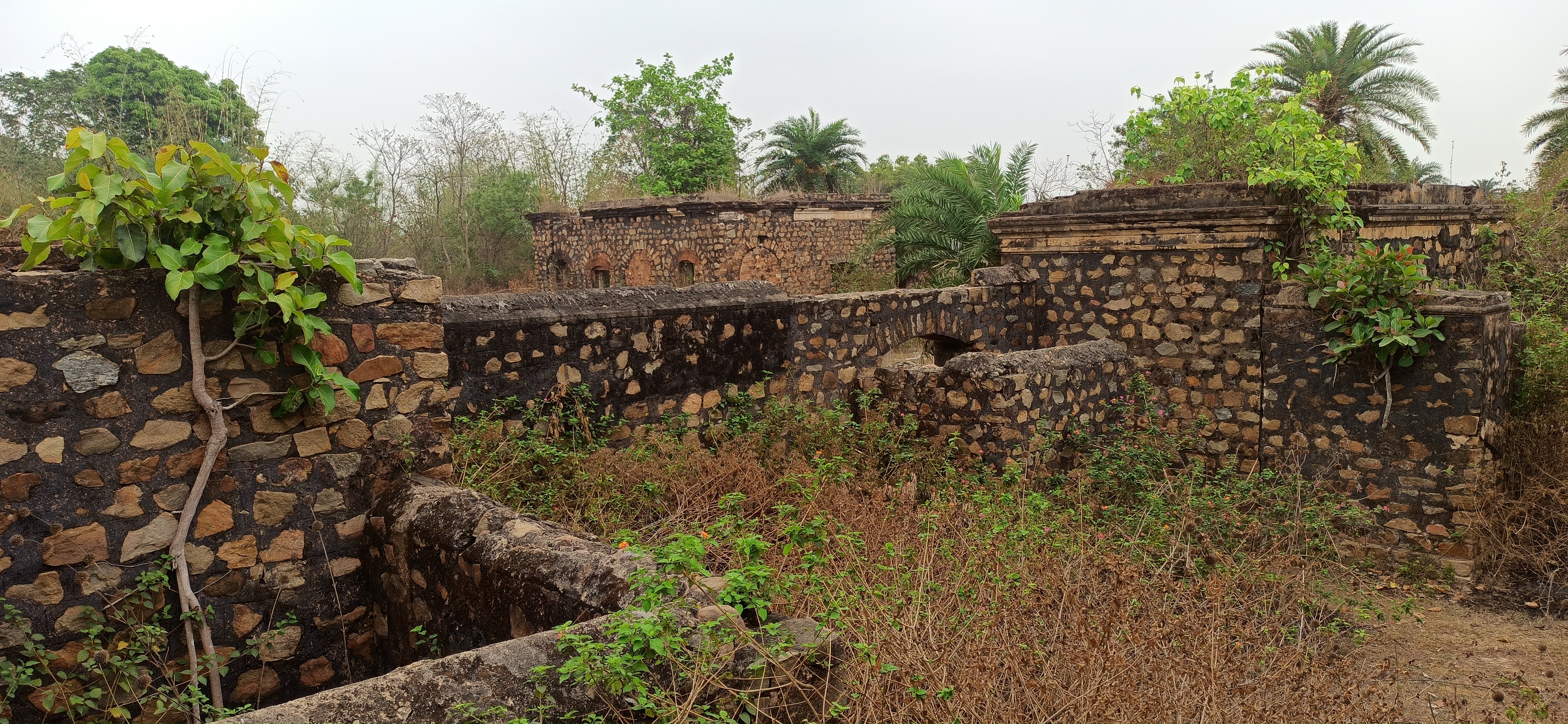 Paharia king Digvijay Singh fort in dilapidated condition in Dumka