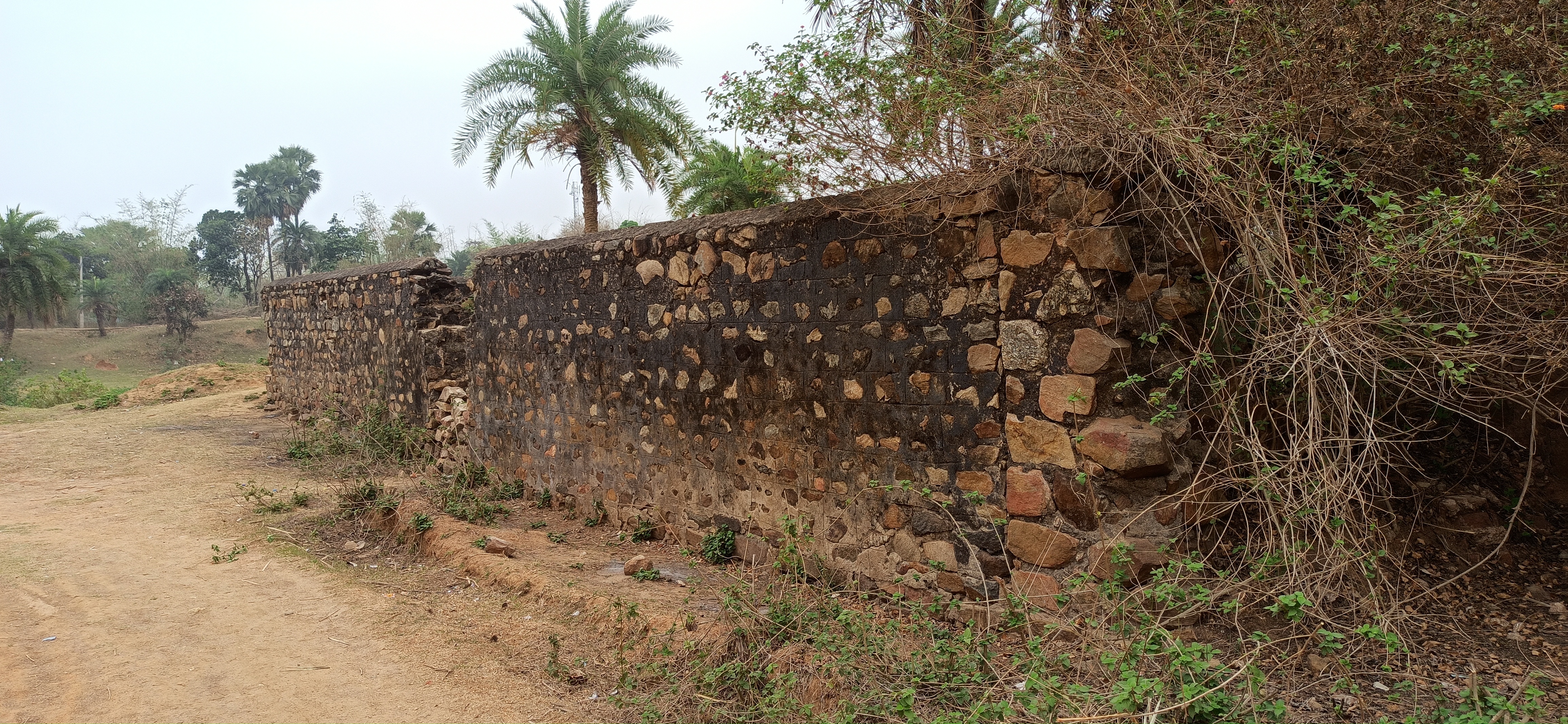 Paharia king Digvijay Singh fort in dilapidated condition in Dumka