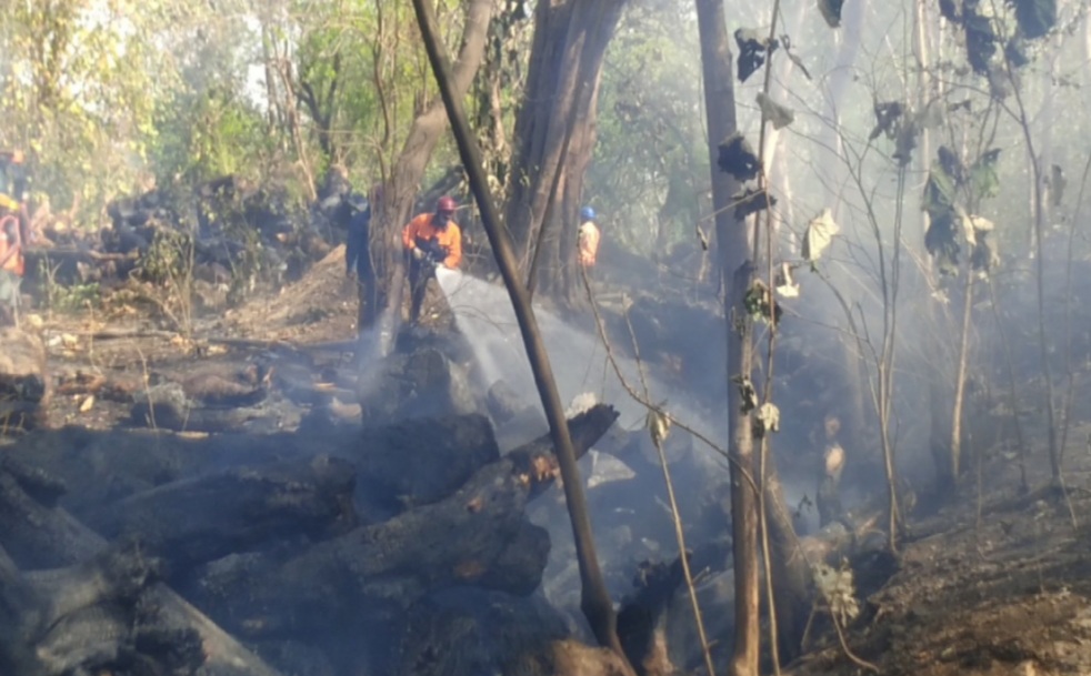 fire in forest at Jamshedpur