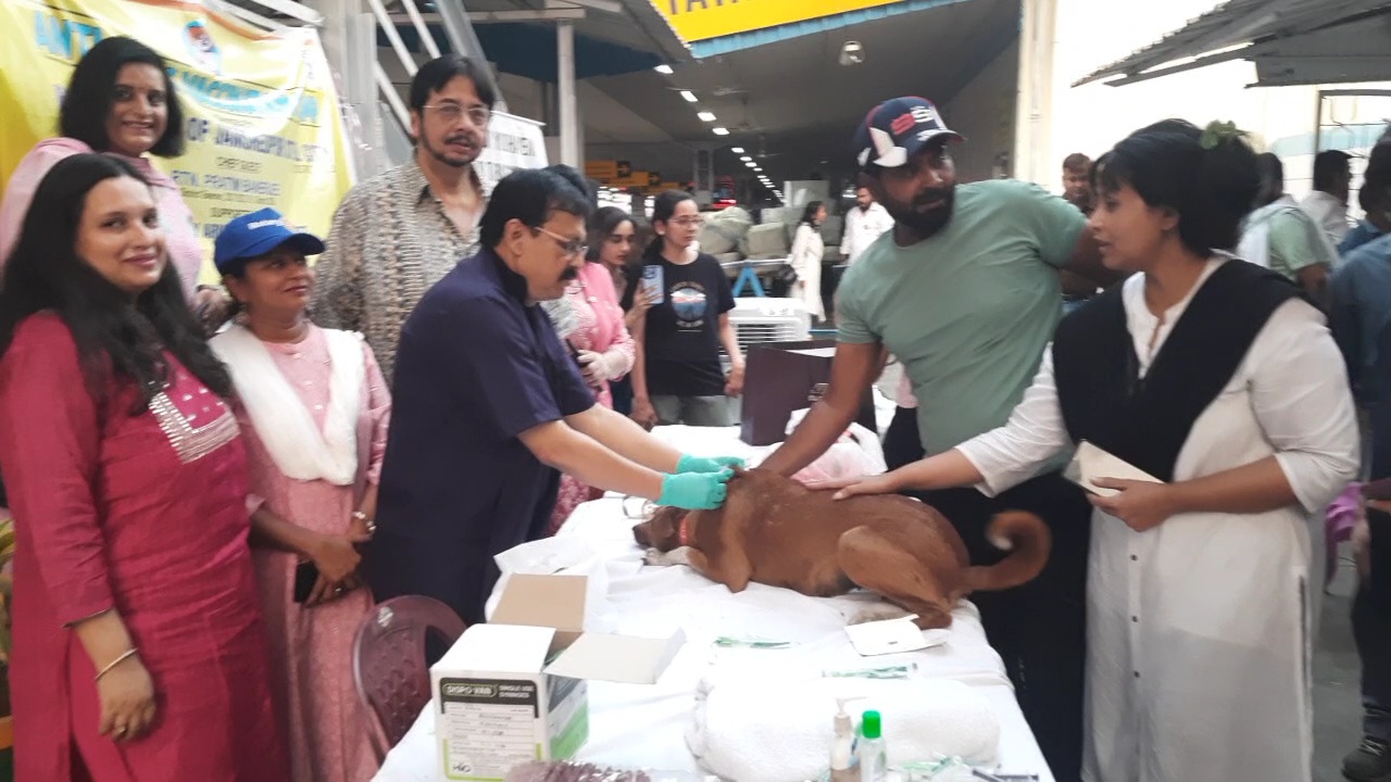 Dog vaccination camp at Tatanagar railway station