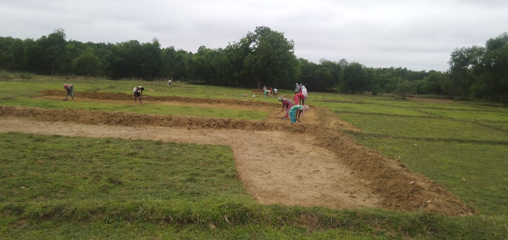 tree plantation scheme started in jamshedpur