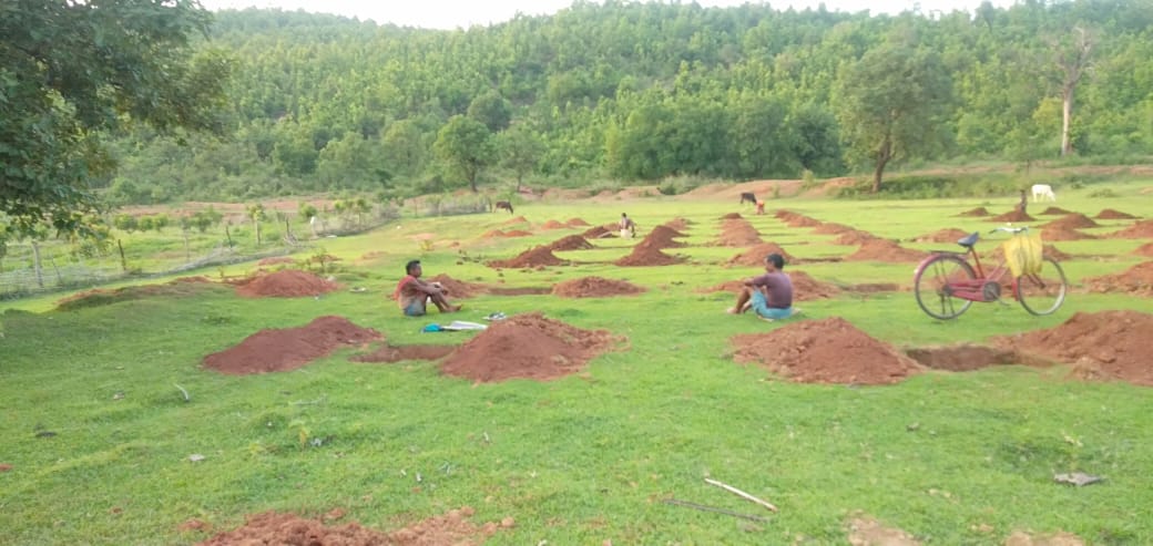 tree plantation scheme started in jamshedpur