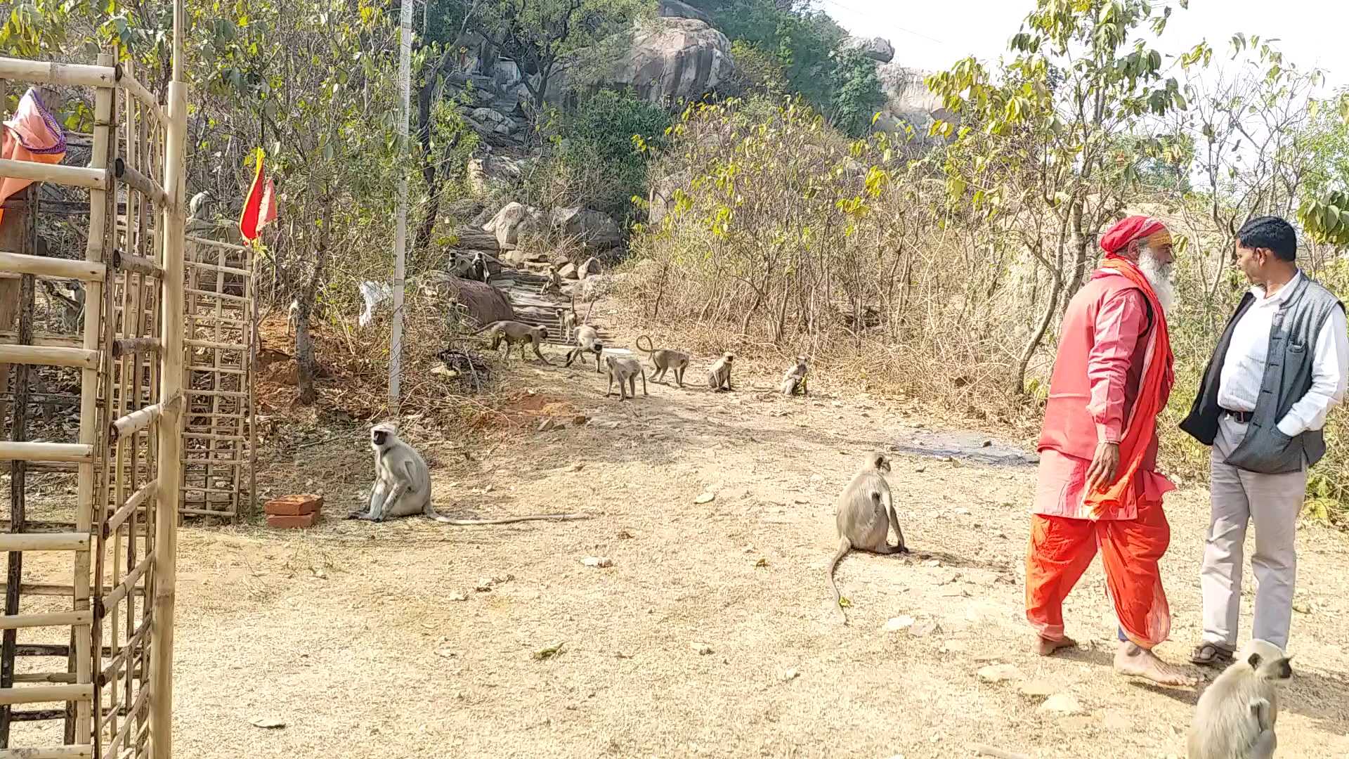 tourists gather for on New Year celebration