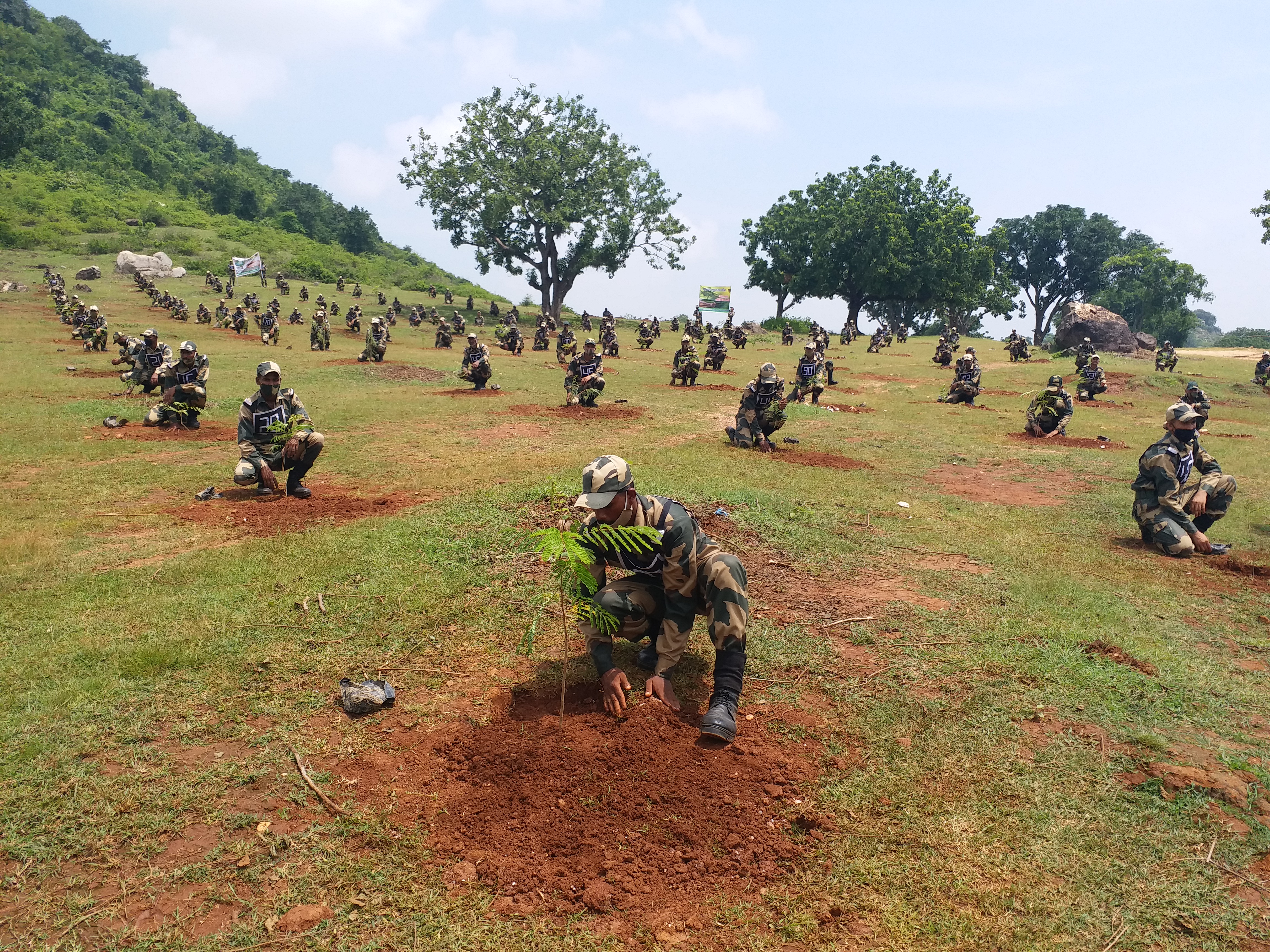 BSF jawans planting saplings