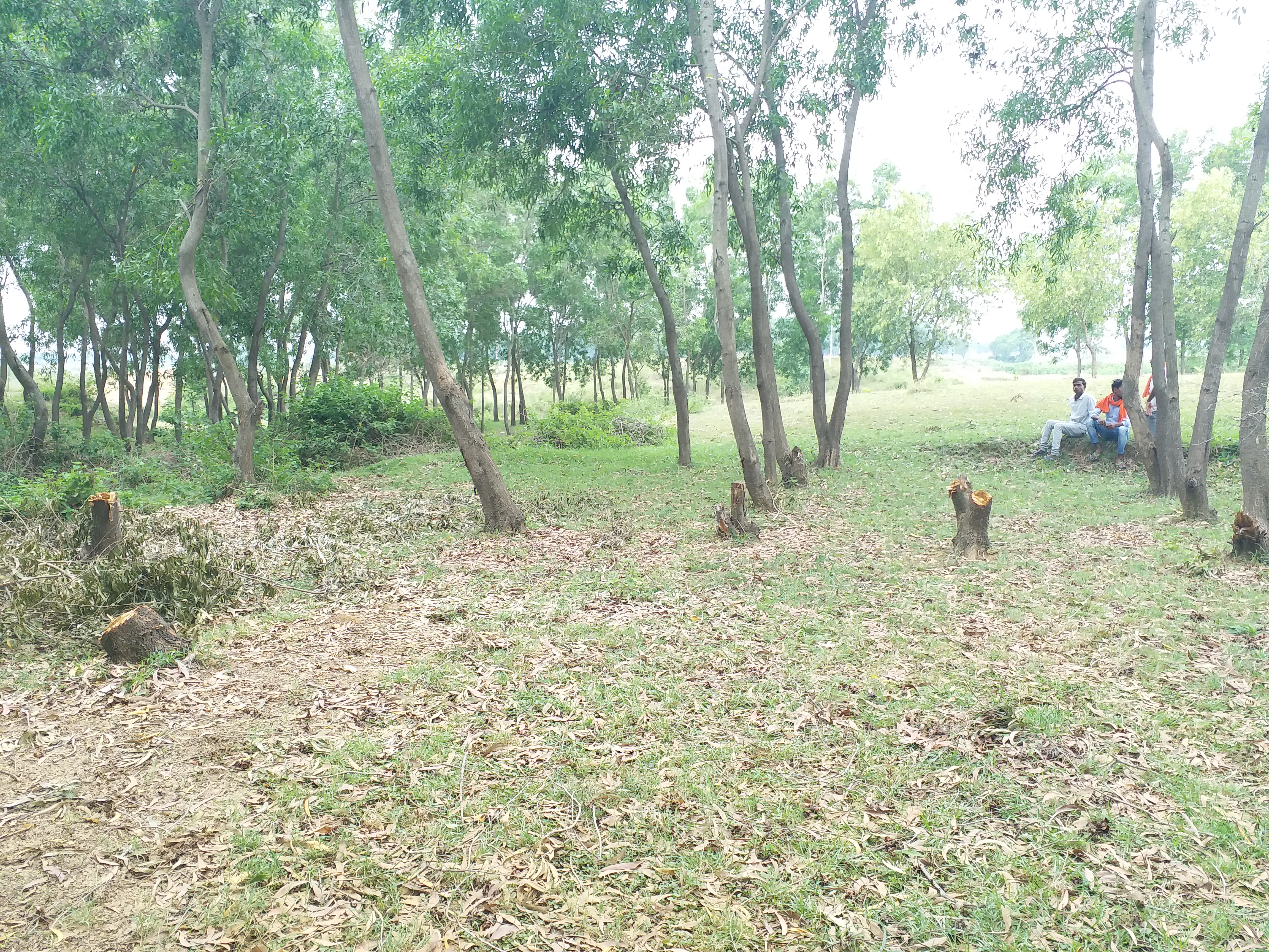 ramni forest in hazaribag