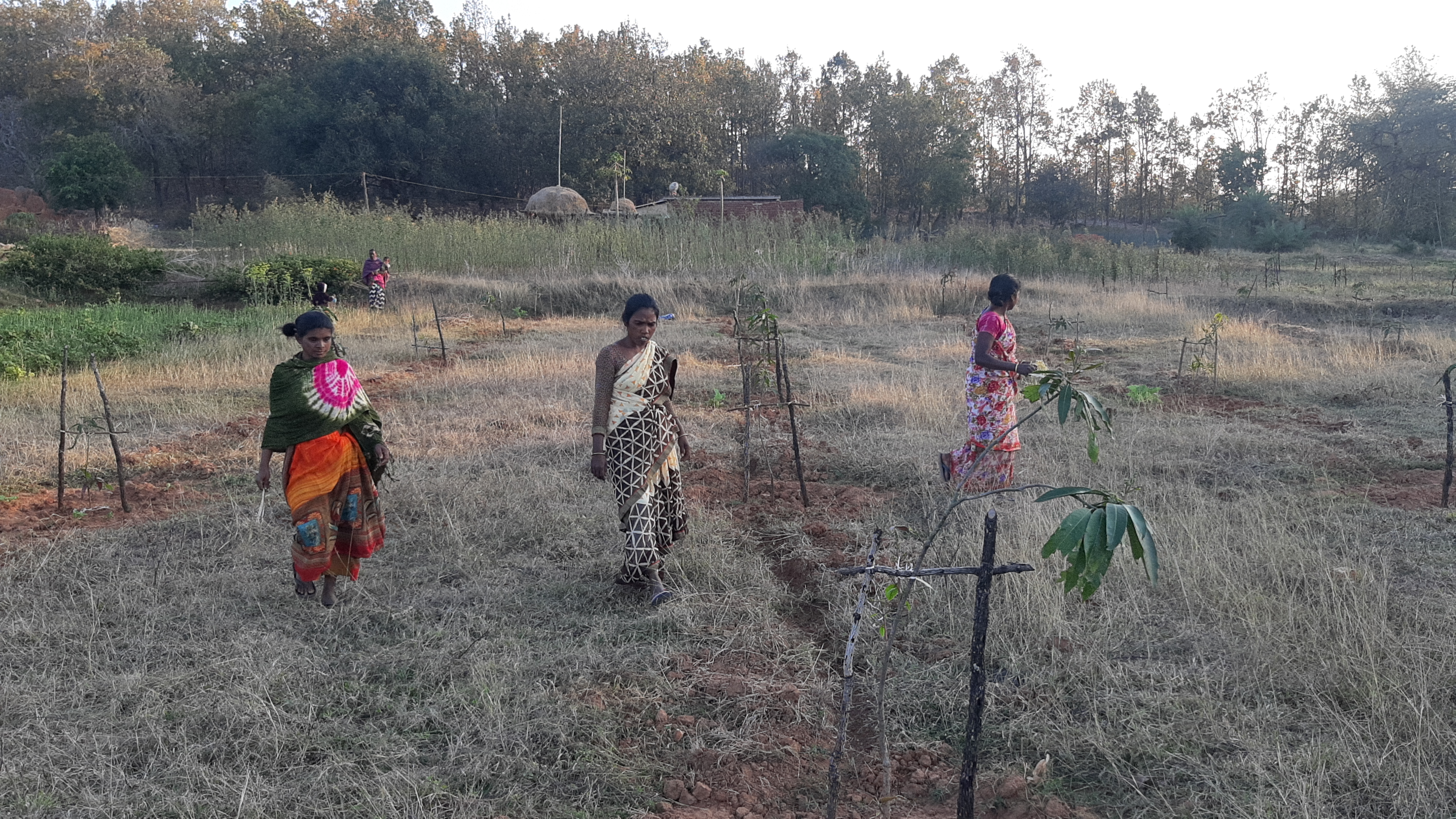 People getting employment from MGNREGA Park in Hazaribag