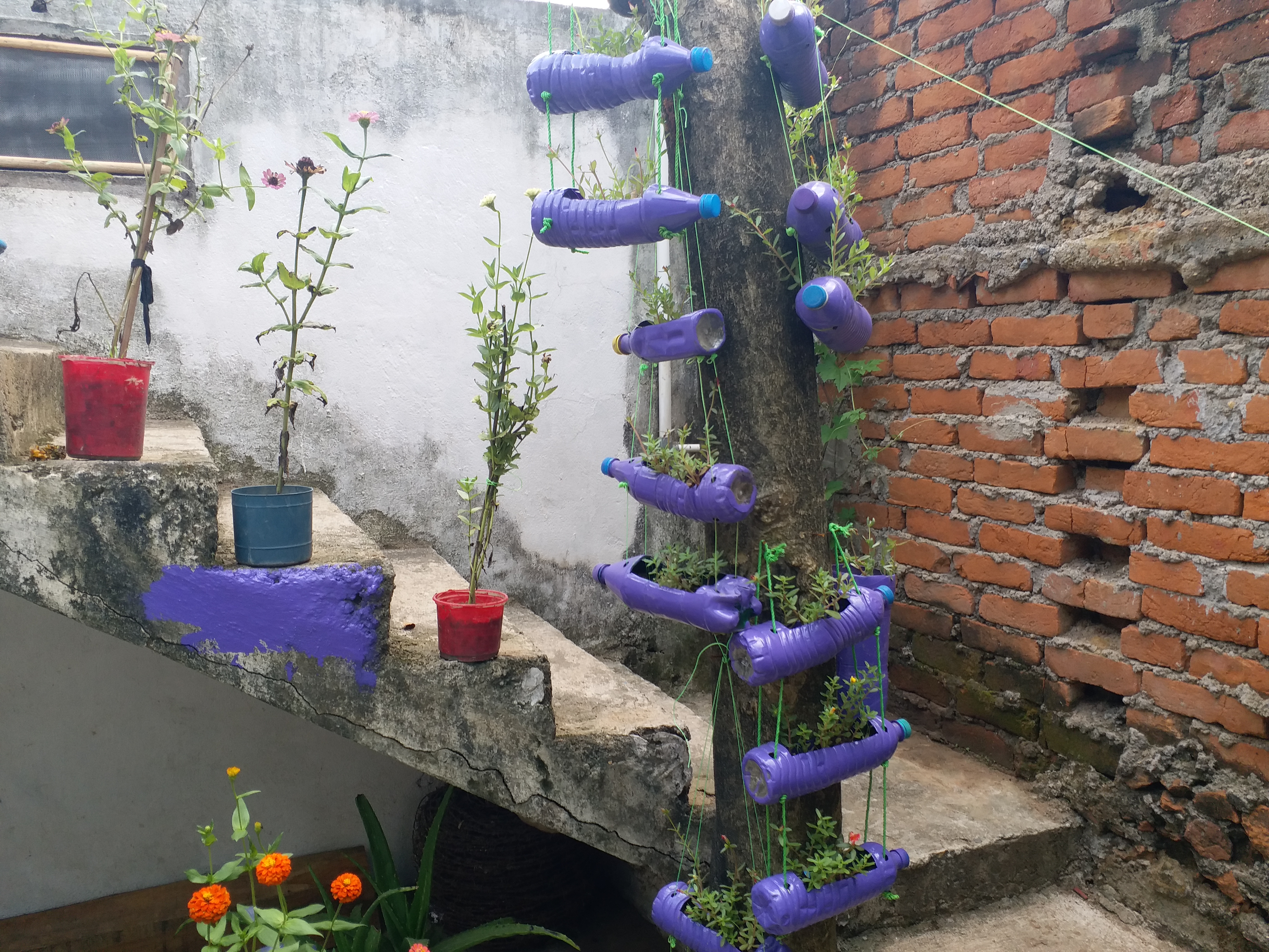 two sisters made beautiful garden from waste material in hazaribag