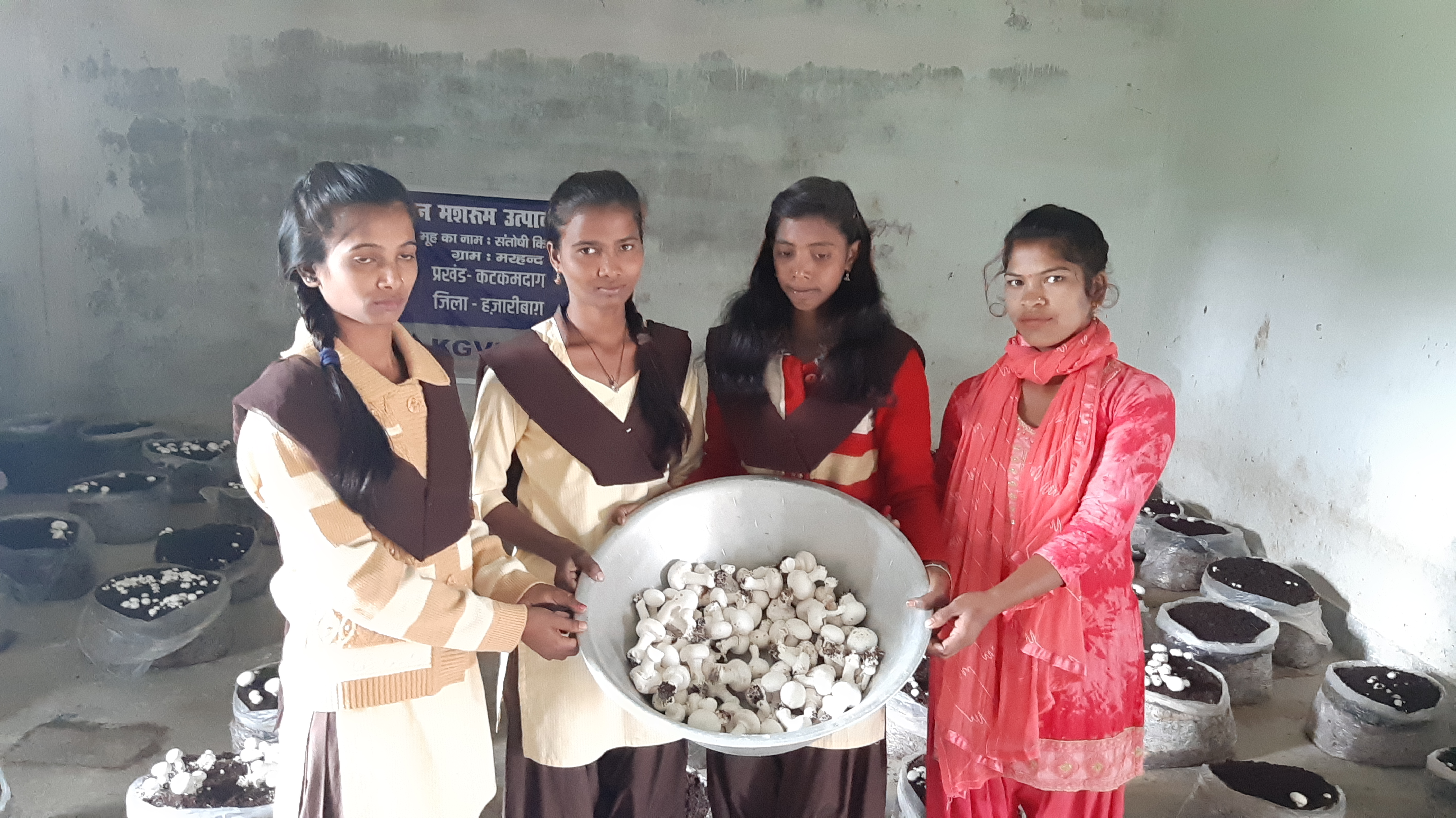 mushroom cultivation in Hazaribag girls earning money along with studies