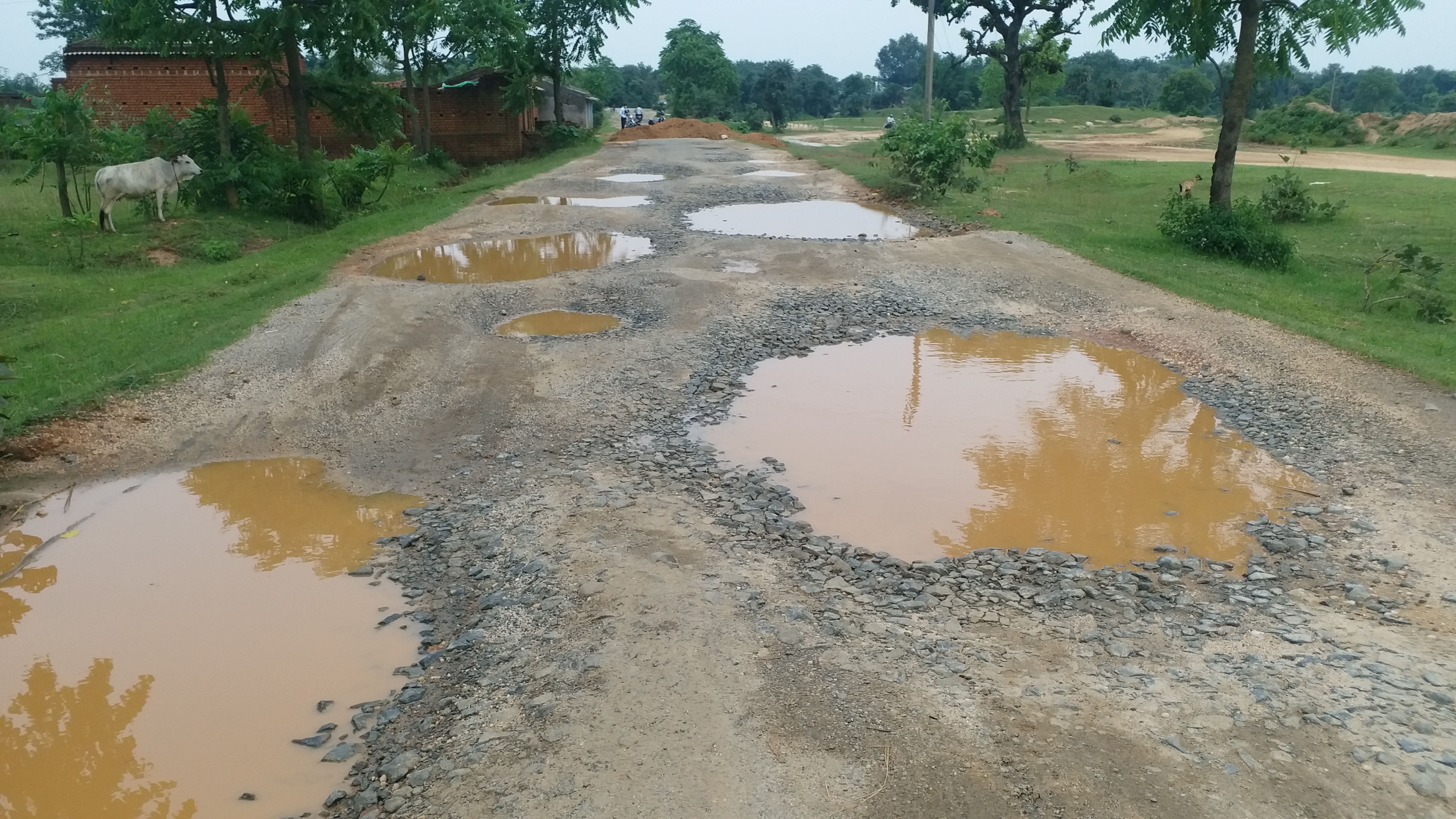 Land owner dug pit in middle of the road in jamtara, Landowner opposes road construction in jamtara, Private landholding protest in jamtara, जमीन मालिक ने जामताड़ा में सड़क के बीच खोदा गड्ढा, जामताड़ा में भूमि मालिक ने सड़क निर्माण का किया विरोध, जामताड़ा में निजी जमाबंदी जमीन का विरोध