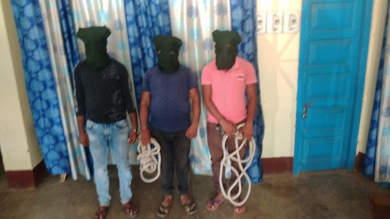 3 cyber criminals arrested