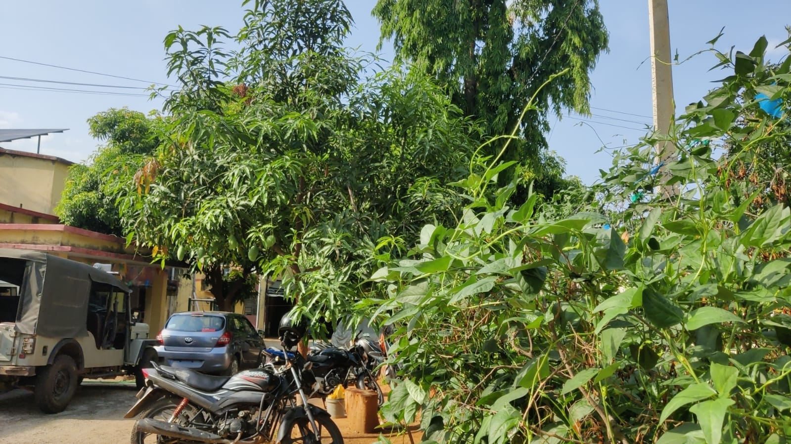 People come to Murhu police station to take selfies with gardening In Khunti