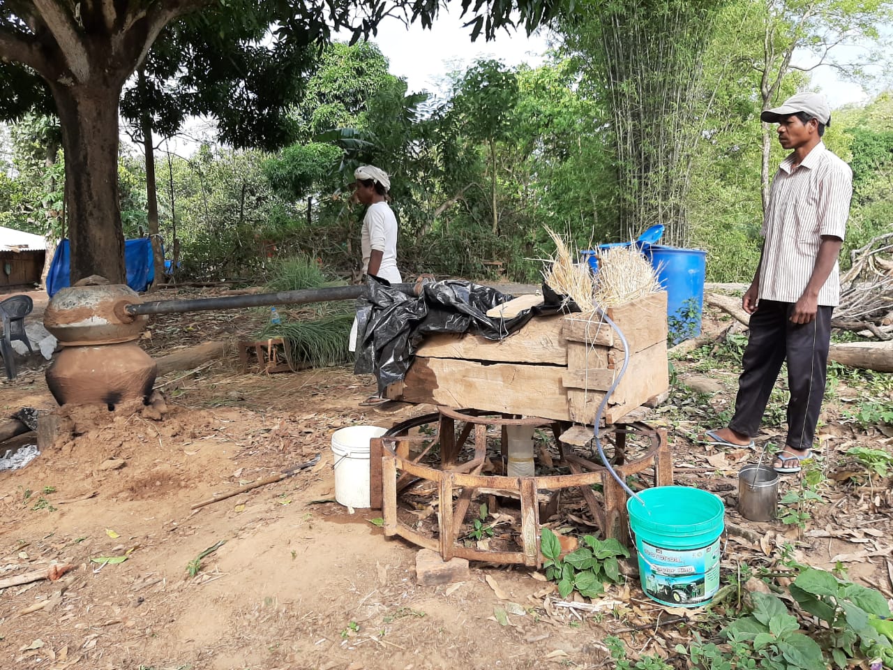 oil Extraction by cultivating lemon grass in khunti, Lemon Grass Cultivation in khunti, Farmers will make sanitizers in khunti, खूंटी में लेमन ग्रास से निकाला जा रहा तेल, खूंटी में किसान बनाएंगे सेनेटाइजर, खूंटी में लेमन ग्रास की खेती