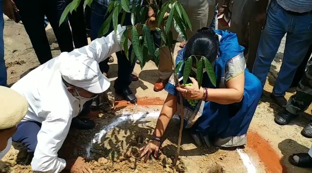 cm-hemant-soren-inaugurated-van-mahotsav-in-ranchi