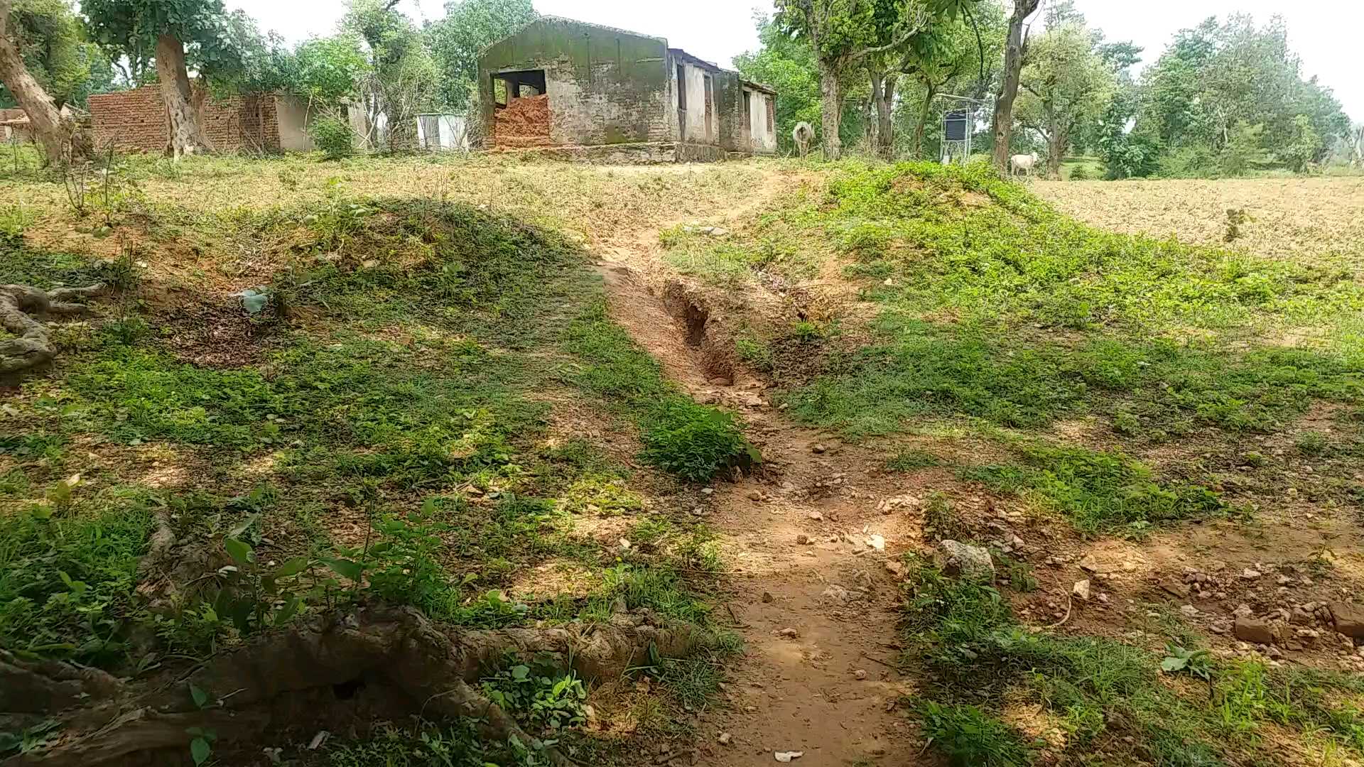 Middleman scam on birsa awas yojana in latehar, scam on birsa awas yojana in latehar, News of Latehar primitive tribe, लातेहार में बिरसा आवास योजना पर बिचौलिए का घोटाला, लातेहार में बिरसा आवास योजना पर घोटाला, लातेहार आदिम जनजाति की खबरें