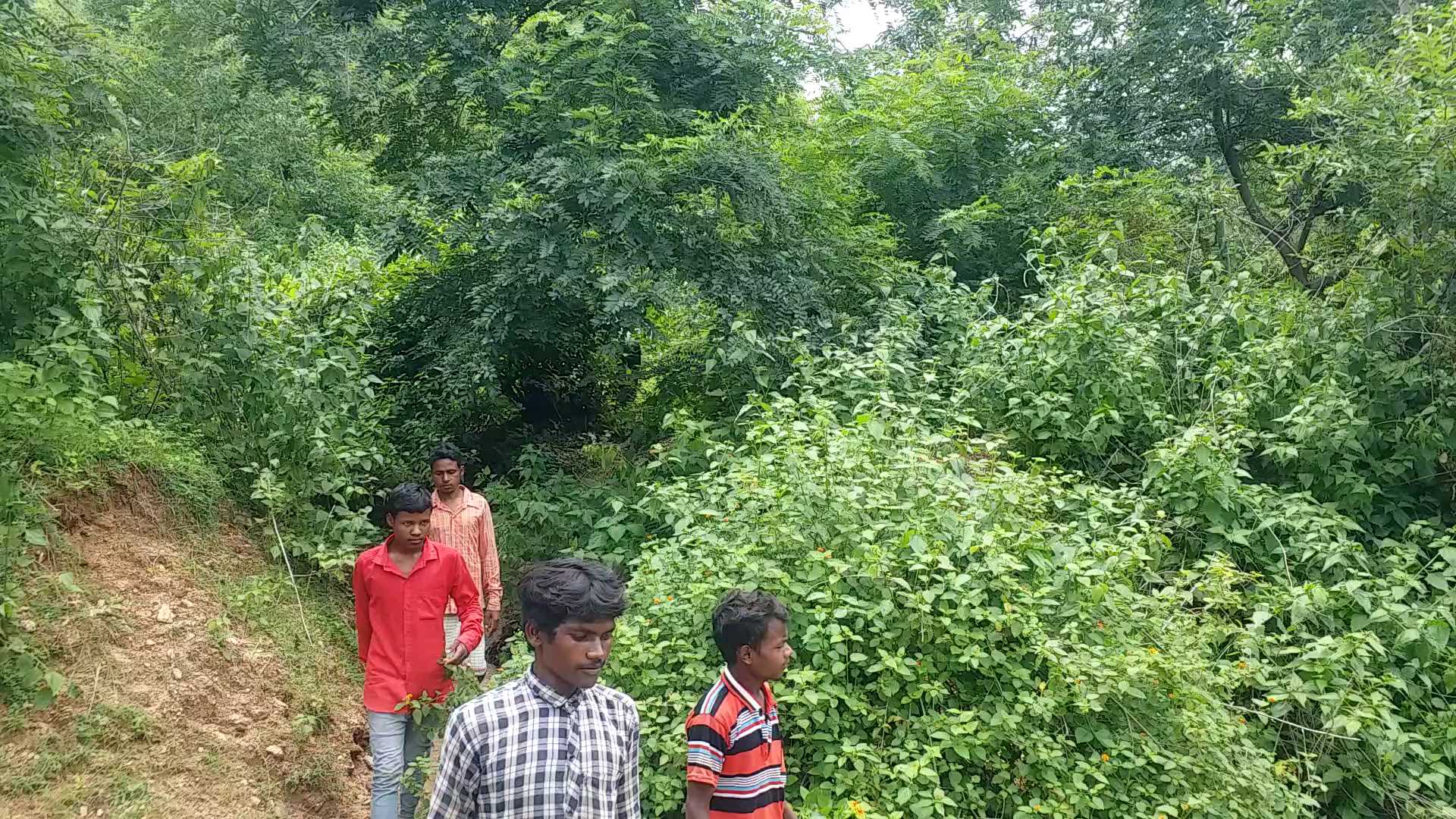 Villagers protect forests and punish those who damage trees in Latehar