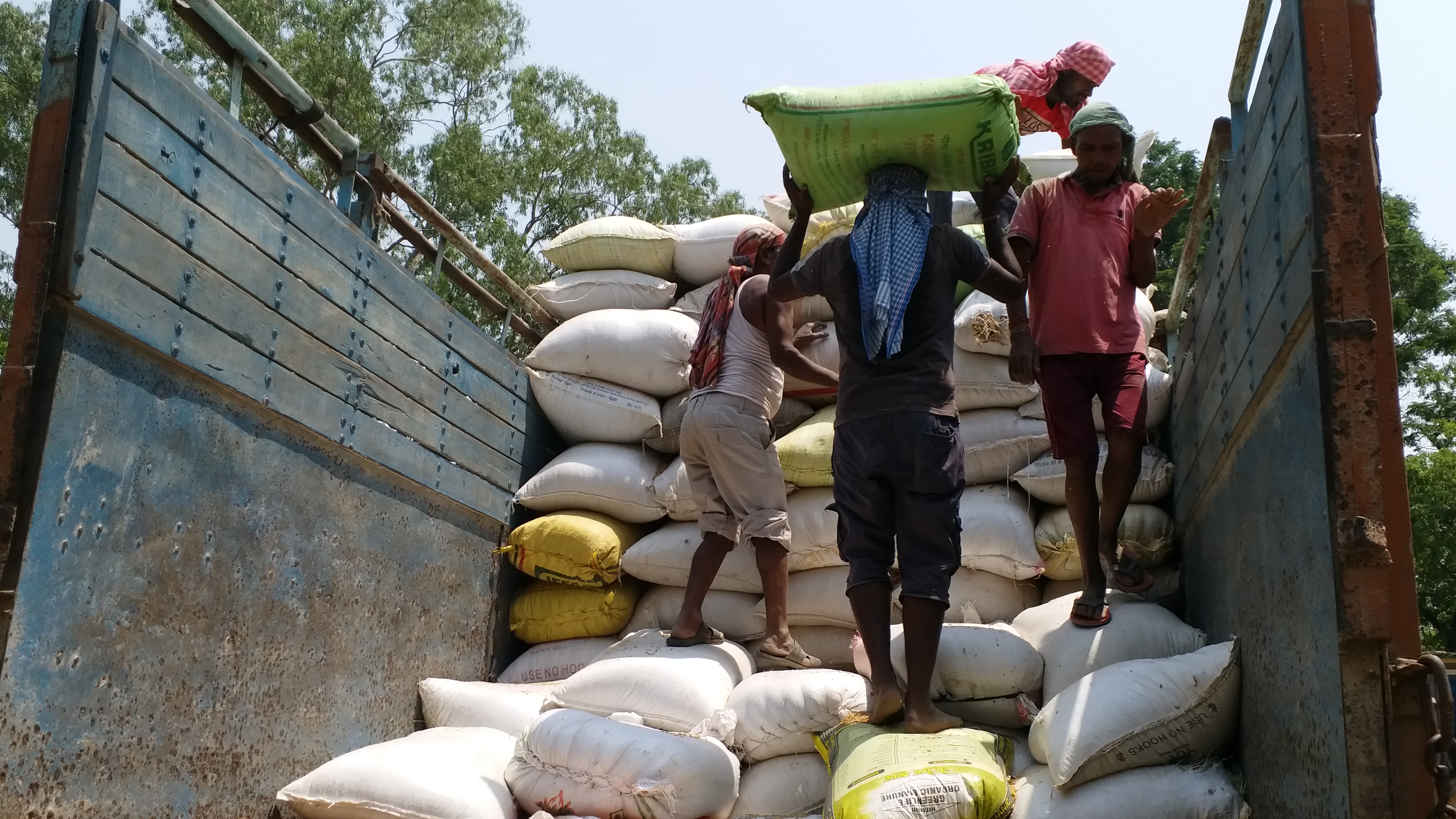 Officers in Jharkhand not completed paddy procurement target