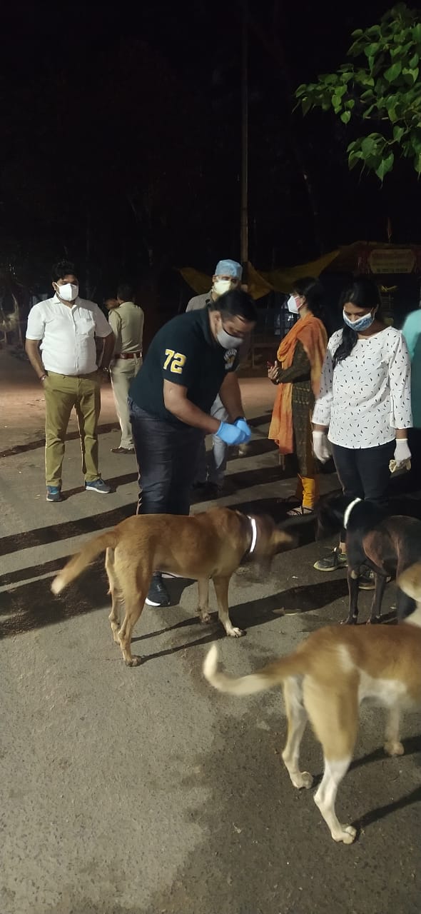 RMC team fed to street dog food