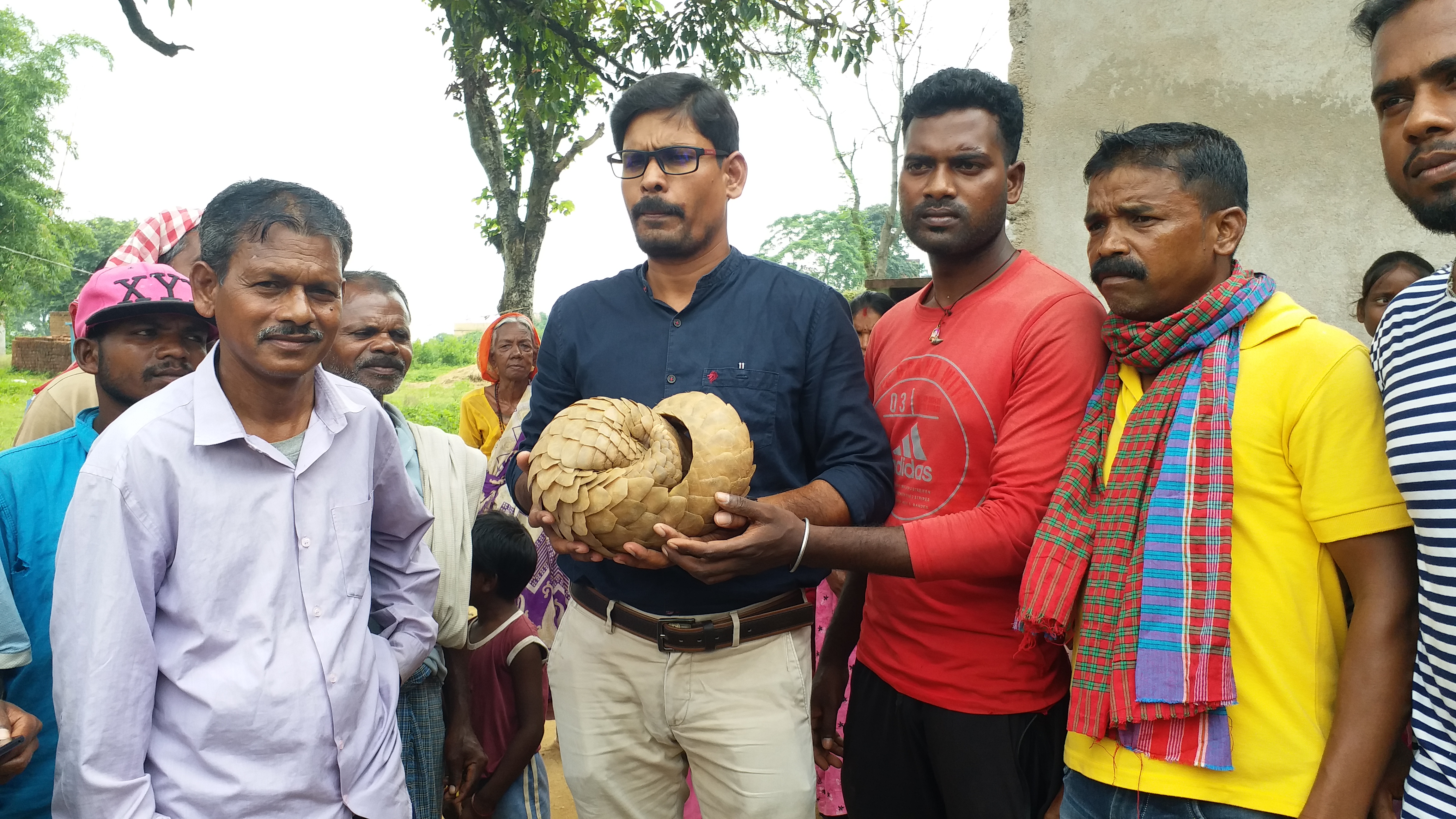 pangolin found in pithoria at ranchi, रांची के पिठोरिया में मिला पैंगोलिन