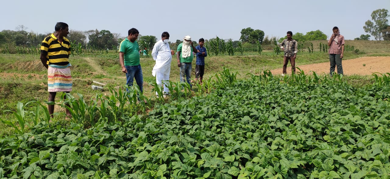 MLA Bandhu Tirkey expressed concern over crop wastage of farmers in ranchi