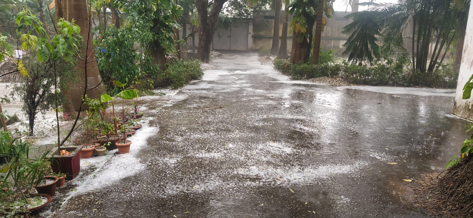 weather in Jharkhand Rain and hailstorm in Ranchi