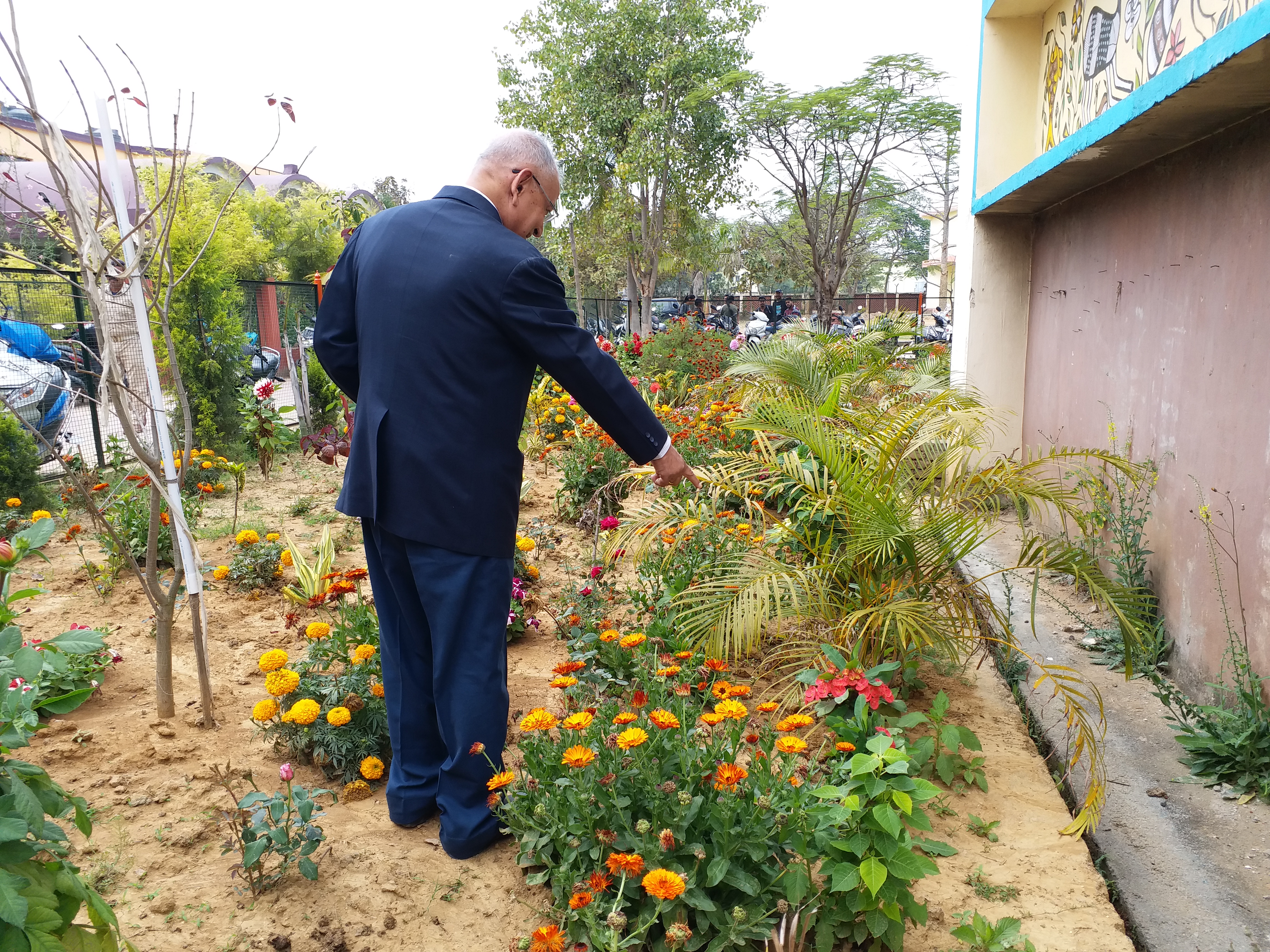 Botanical Garden with the help of RU VC