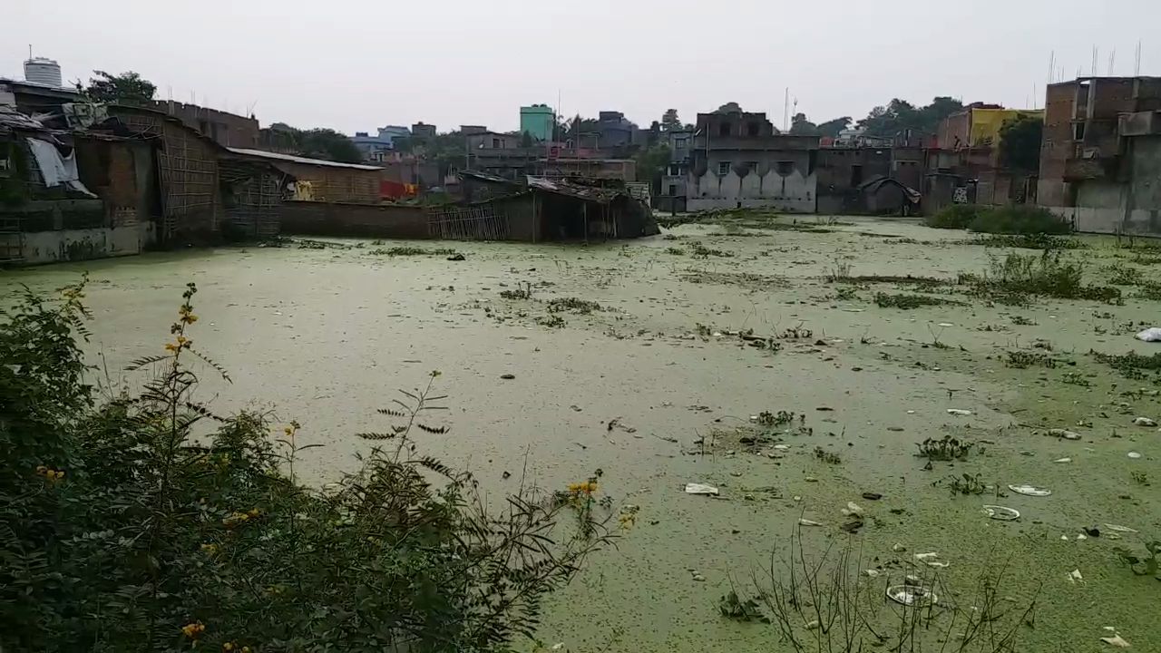 ganga river's water has entered the residential area of sahibganj