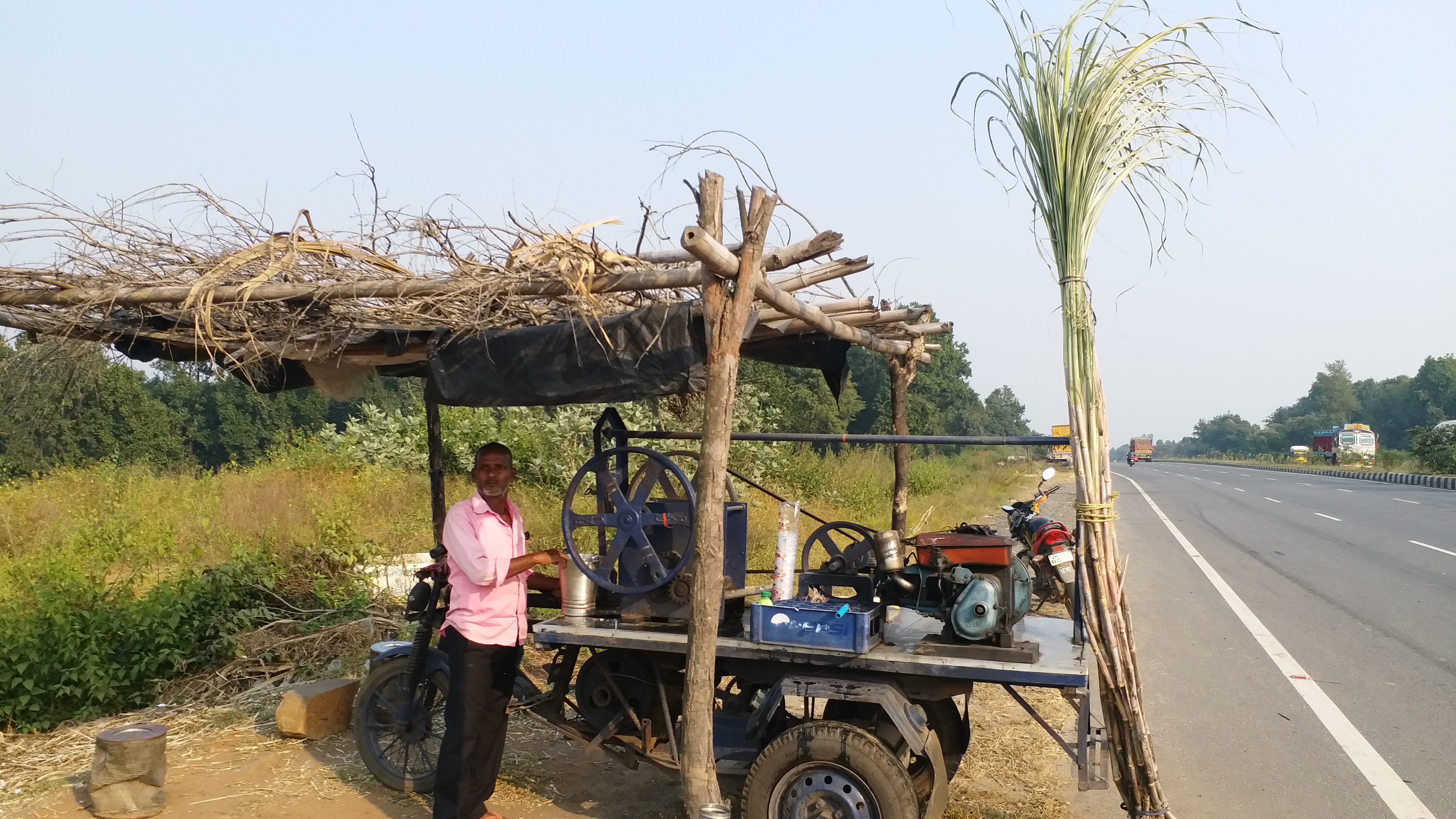 Sugarcane cultivation in Giridih
