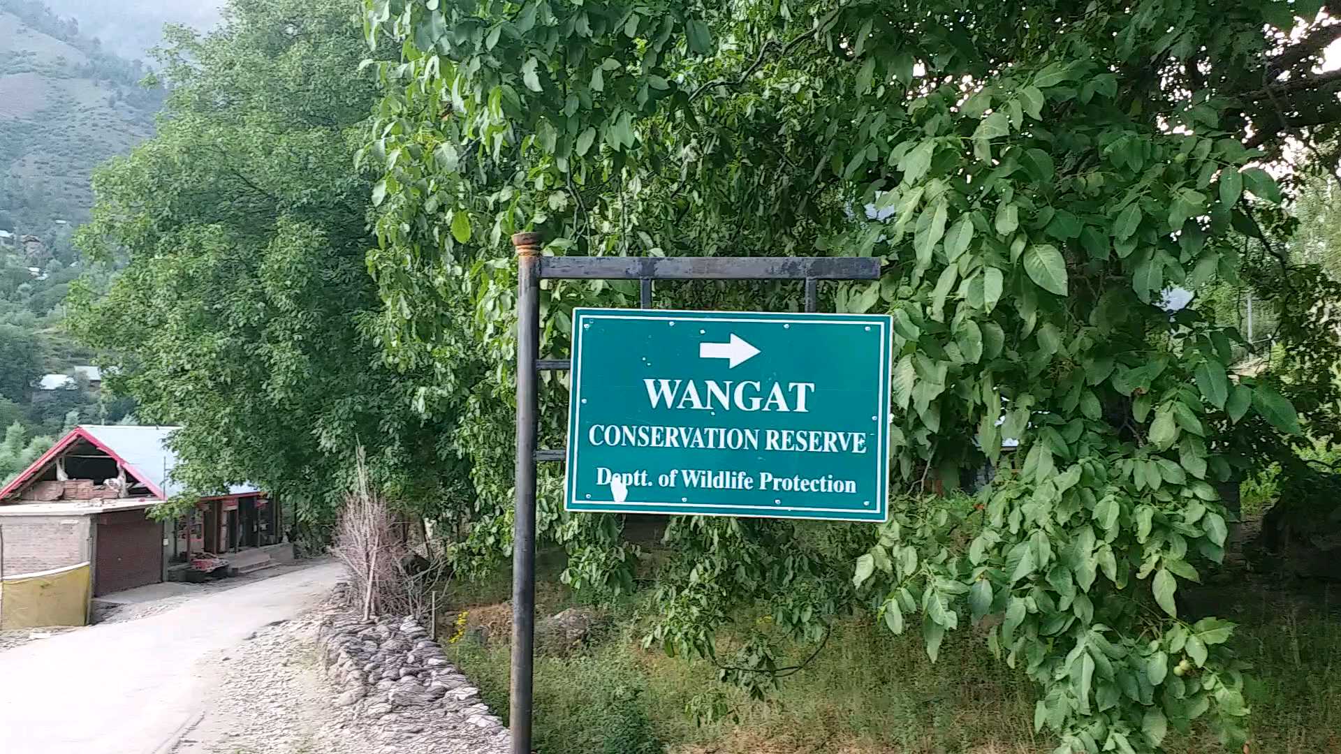 hangul spotted in naranag kangan