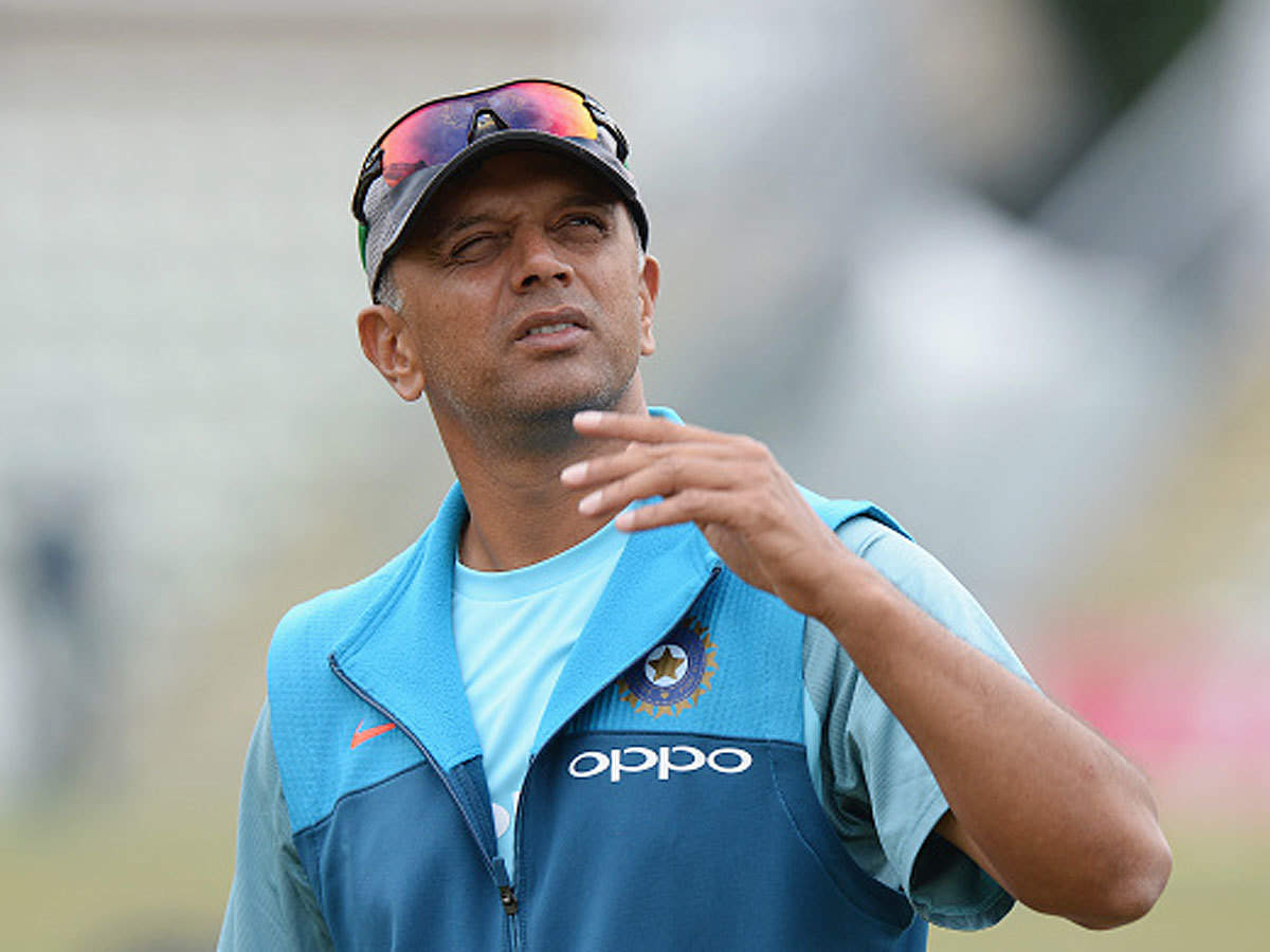 BCCI  NCA head  Rahul Dravid