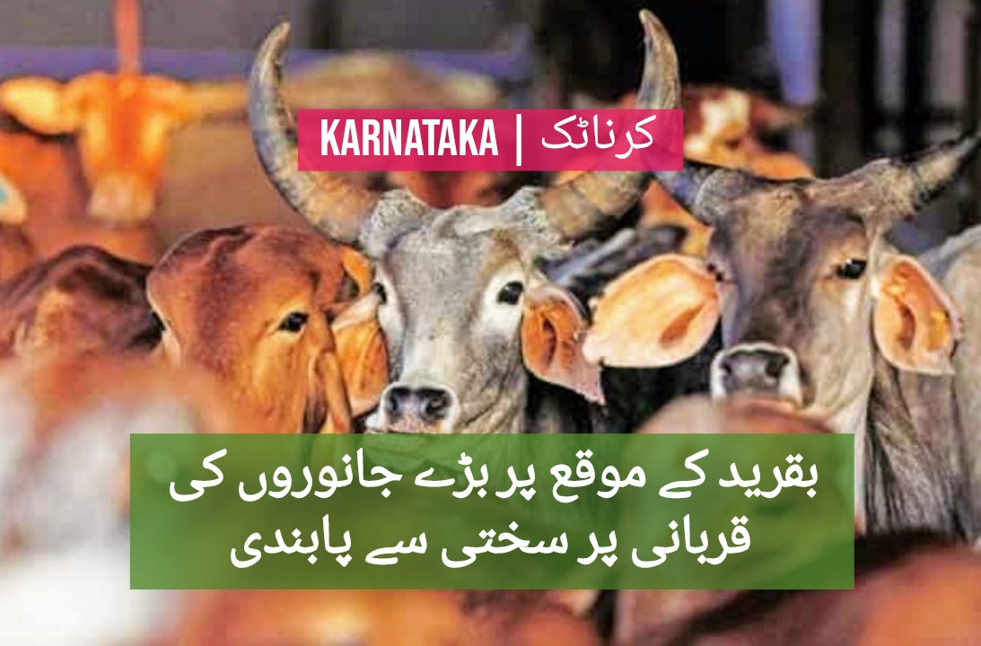 anti cattle slaughter act has destroyed bakrid of many poor says shueb ur rehman qureshi