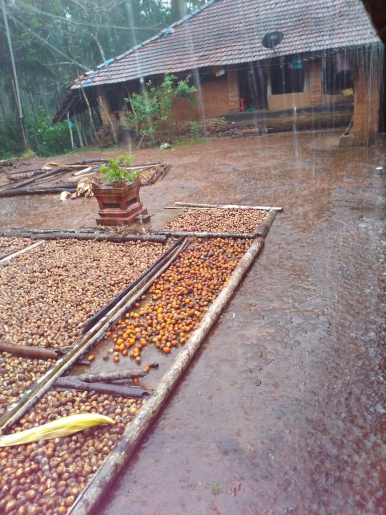 Rain in various districts of Karnataka