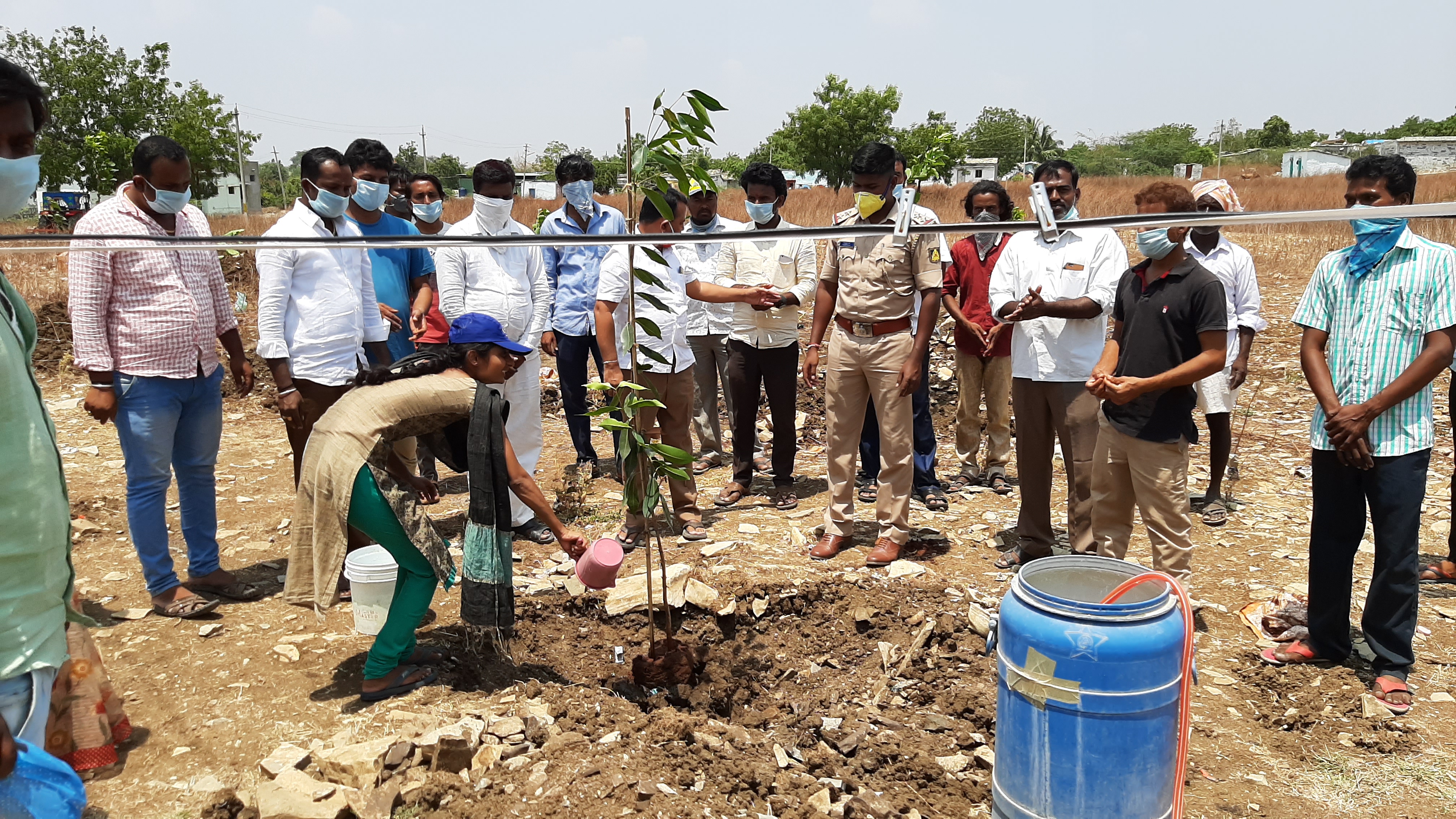 Villagers planting saplings instead of fairs