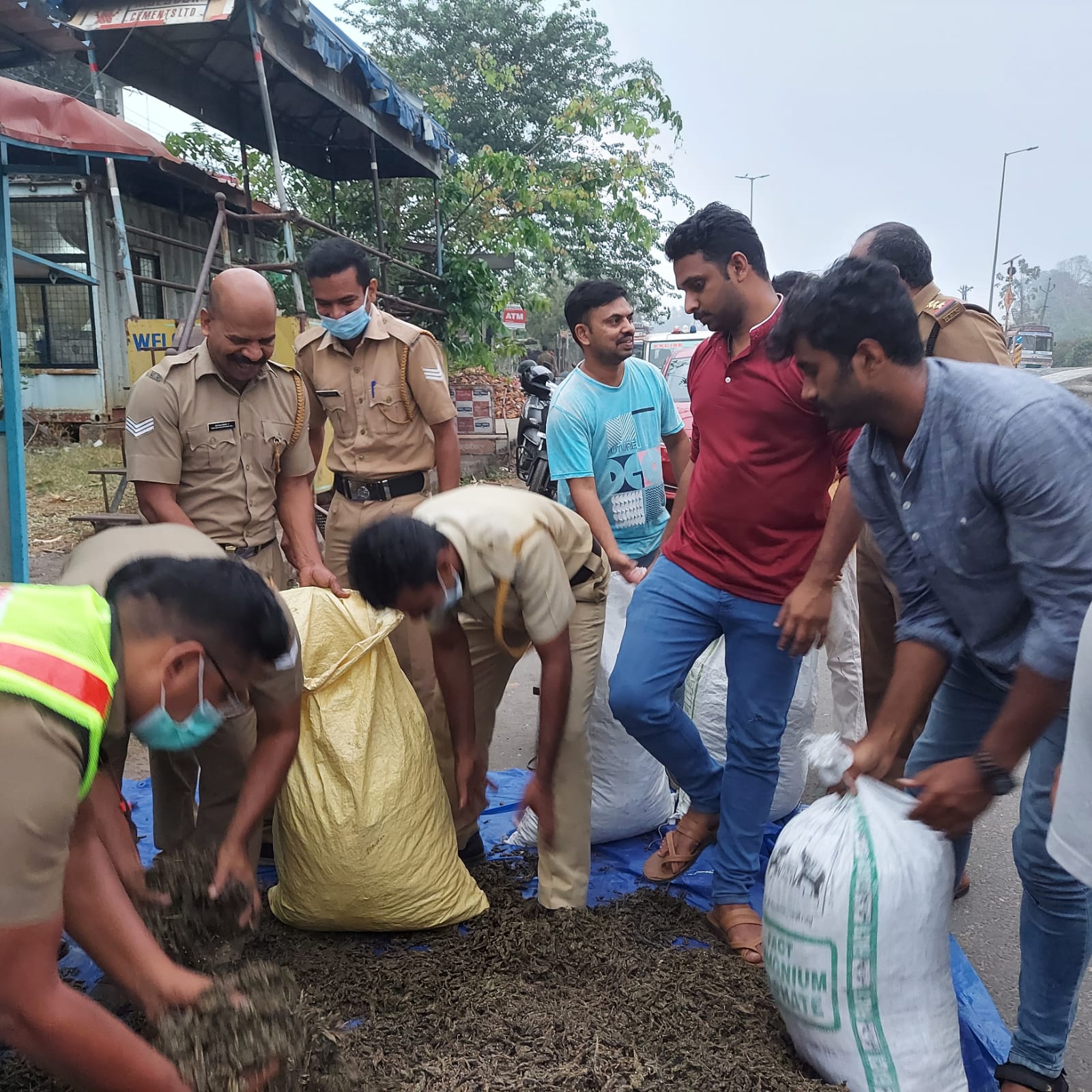 cannabis seized in walayar  excise seized ganja in walayar  വാളയാറിൽ കഞ്ചാവ് പിടികൂടി  ലോറിയിൽ കടത്തിയ കഞ്ചാവ് പിടികൂടി