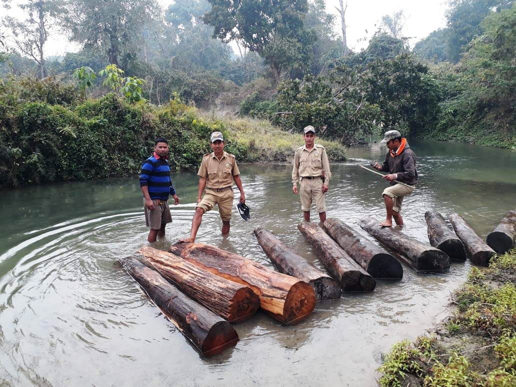 Recovered Segun Wood