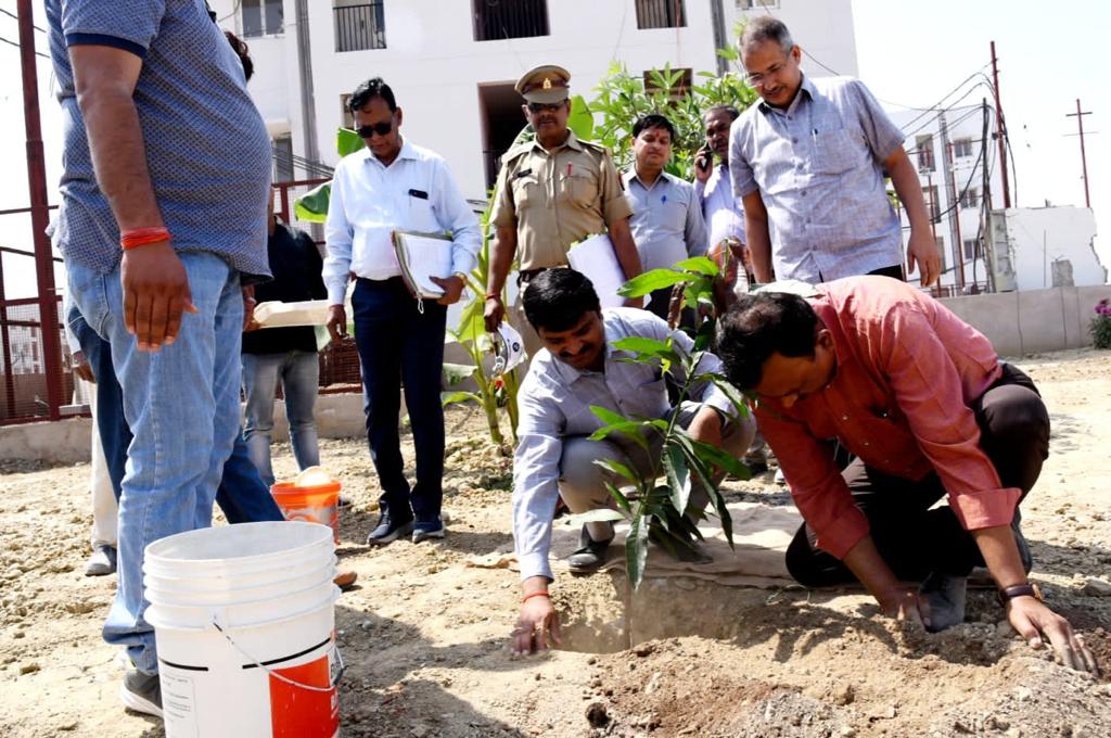 भागीरथी-जान्हवी योजना परिसर में आम का पौधा रोपित