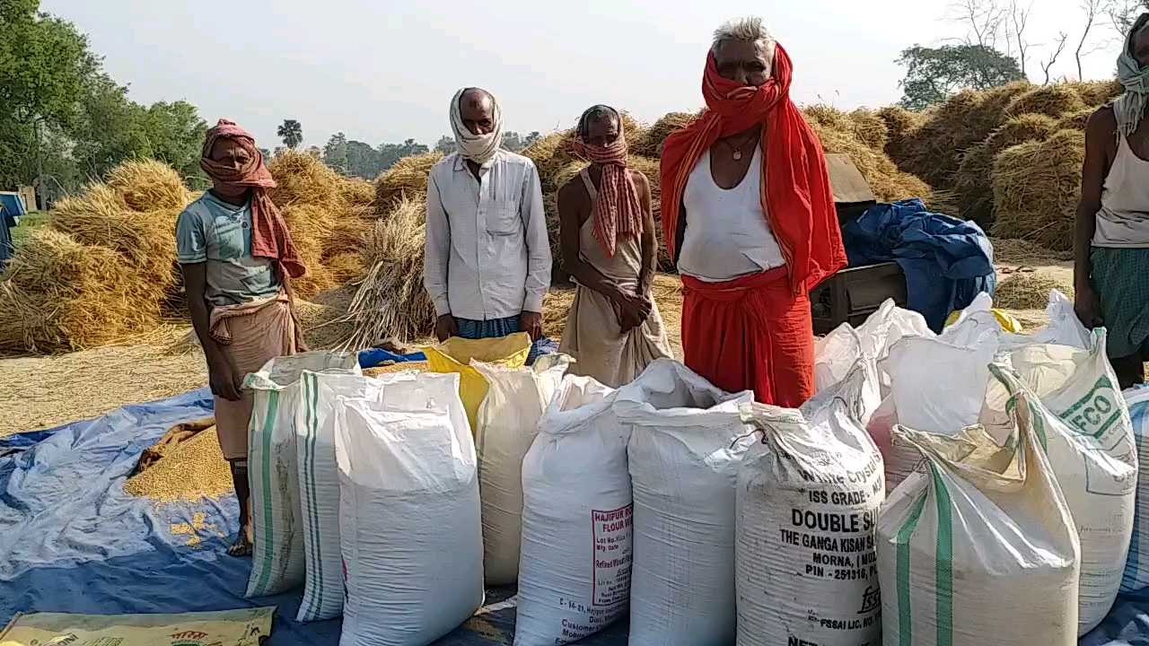 wheat procurement in patna