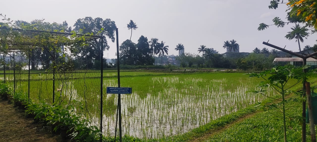 Kerala State Seed Farm, the country's first carbon-neutral farm