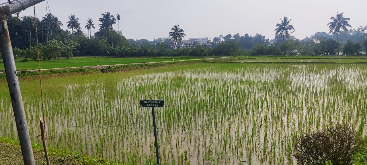 KERALA STATE CARBON NEUTRAL FARM