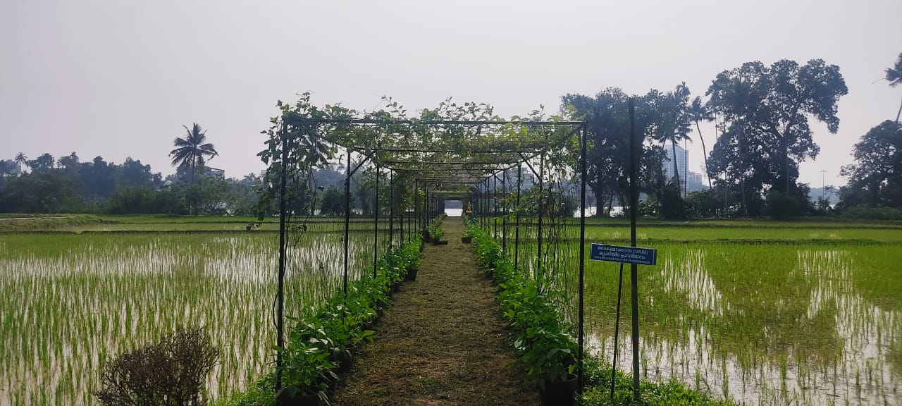 Kerala State Seed Farm, the country's first carbon-neutral farm