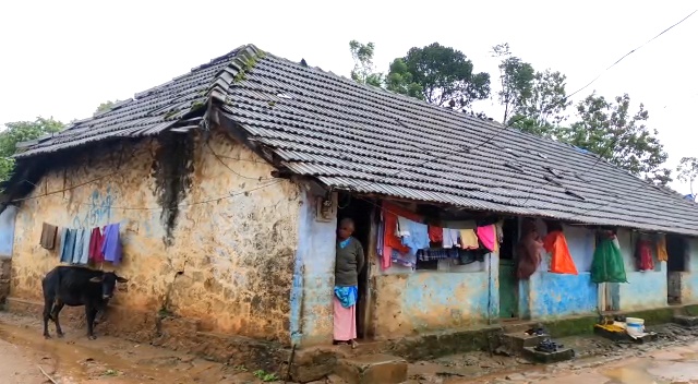 ലയങ്ങളില്‍ ദുരിത ജീവിതം  പീരുമേട് ടി കമ്പനിയിലെ തൊഴിലാളികൾ  പീരുമേട് വാര്‍ത്ത  Peerumedu Plantation Company  Peerumedu Plantation Company Workers