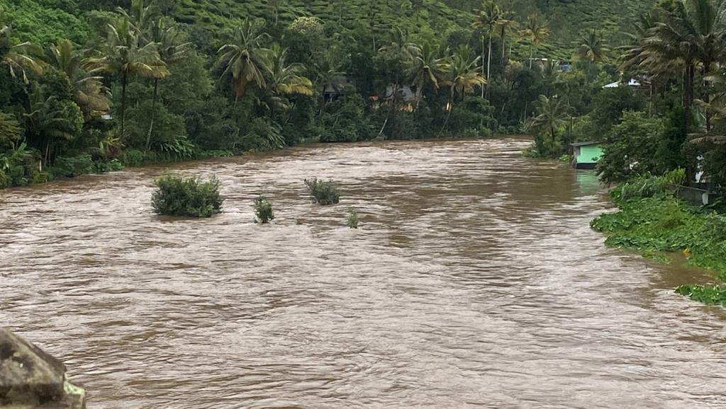 mullaperiyar dam water level  mullaperiyar dam rule curve  water level rise in mullaperiyar dam  മുല്ലപ്പെരിയാർ വാർത്ത  മുല്ലപ്പെരിയാർ ഡാം വാർത്ത  എൻഡിആർഎഫ് മുല്ലപ്പെരിയാർ ഡാം  മുല്ലപ്പെരിയാർ റൂൾ കർവ്  മുല്ലപ്പെരിയാർ ഡാമിലെ ജലനിരപ്പ്  സ്‌പിൽവേ ഷട്ടറുകൾ അധിക അളവിൽ ഉയർത്തി  വാഴൂർ സോമൻ എംഎൽഎ  മുല്ലപ്പെരിയാറിൽ ആശങ്ക