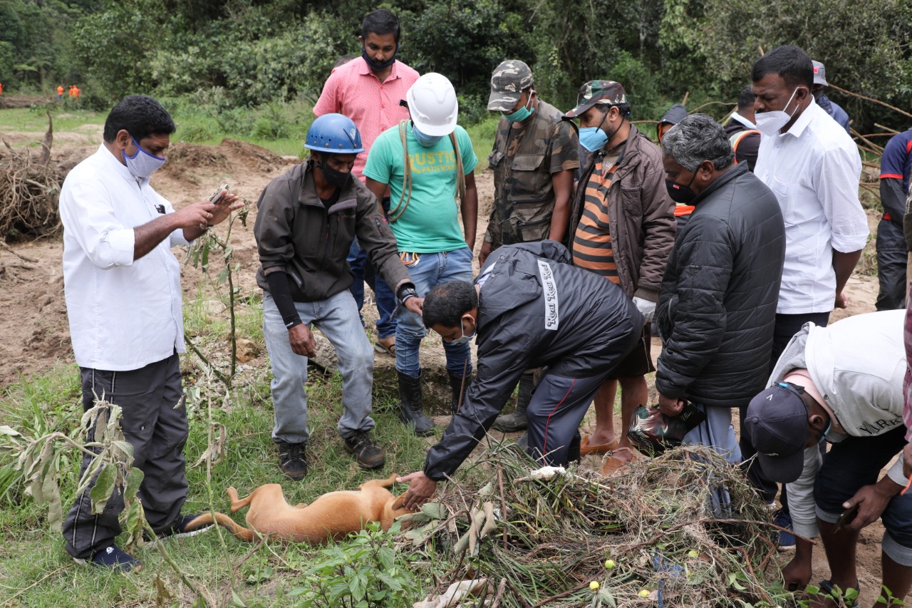 Pet dog in Kerala helps trace child's body after landslide